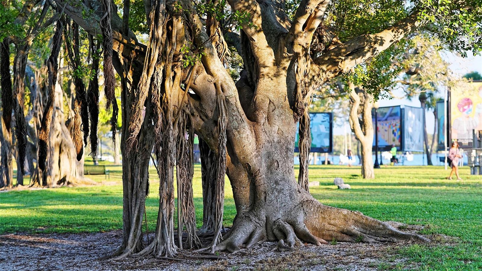 1155 N GULFSTREAM AVE #1107, SARASOTA, FL, 34236