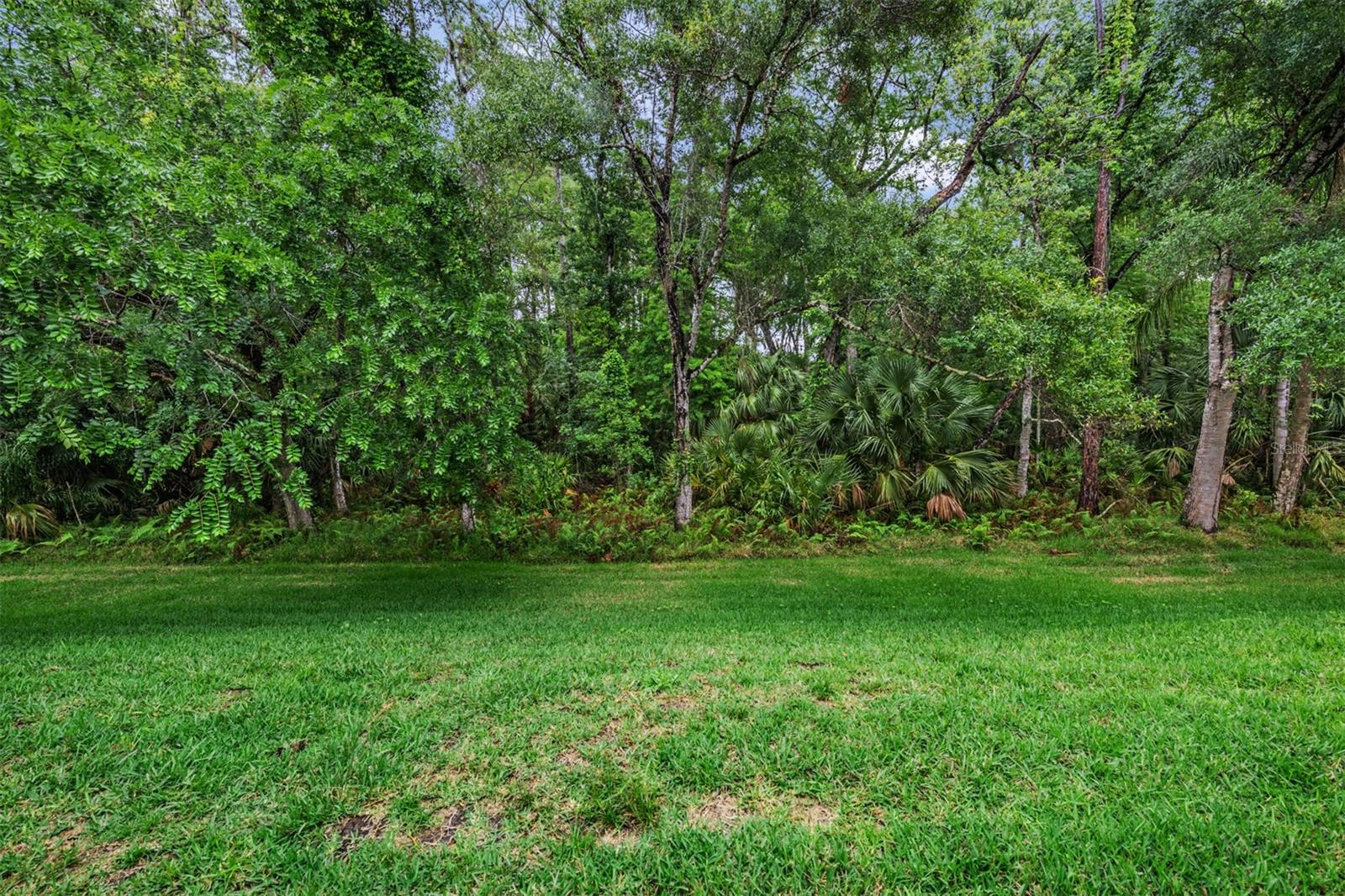 1801 E LAKE RD #6D, PALM HARBOR, FL, 34685