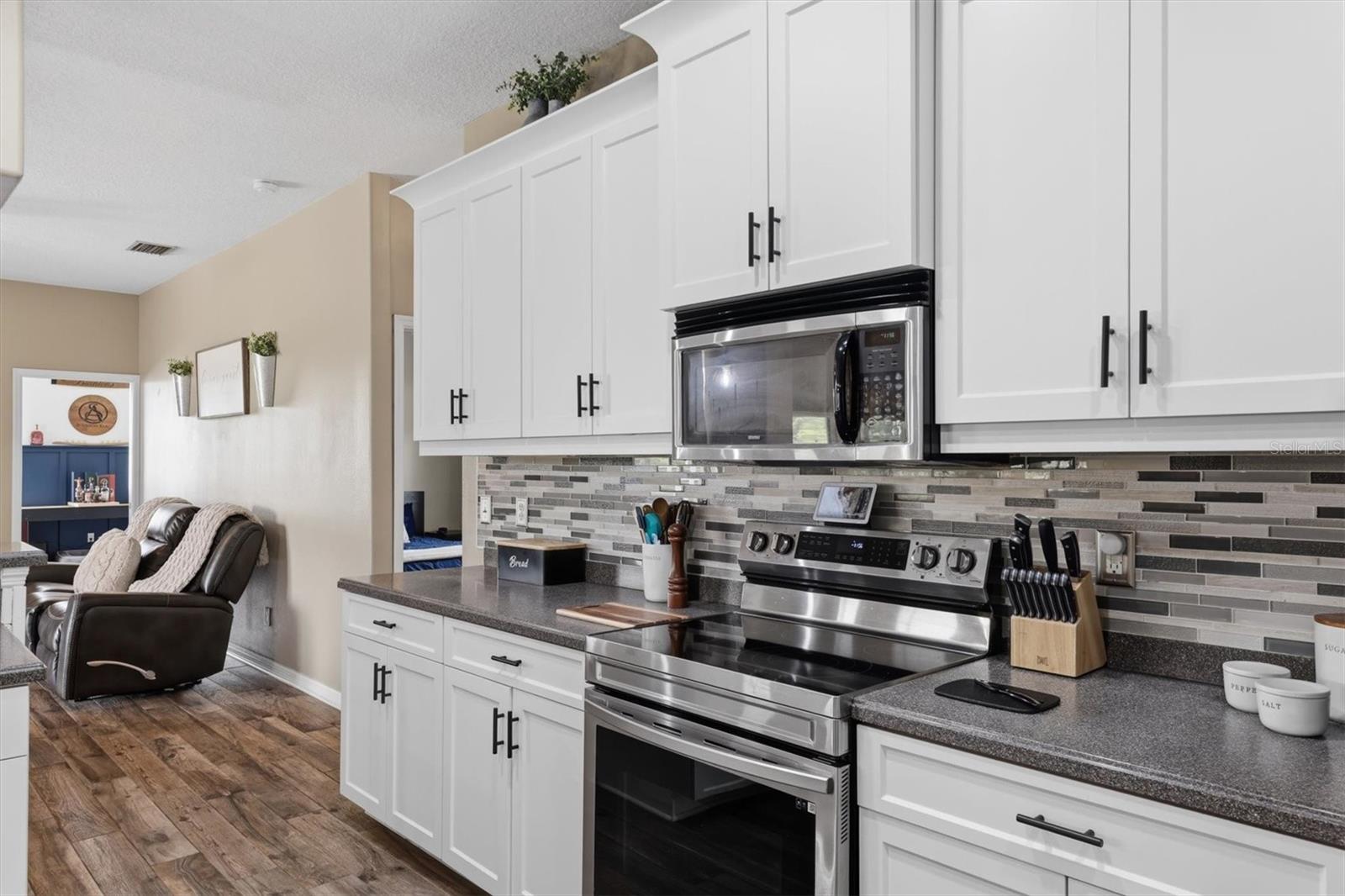26920 BRANDIFF RD E, MYAKKA CITY, FL, 34251