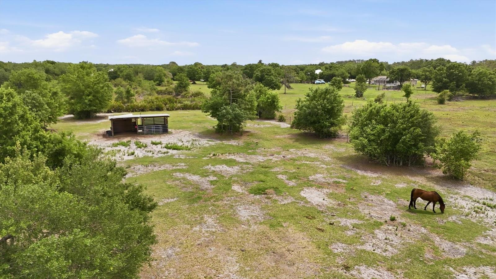 26920 BRANDIFF RD E, MYAKKA CITY, FL, 34251