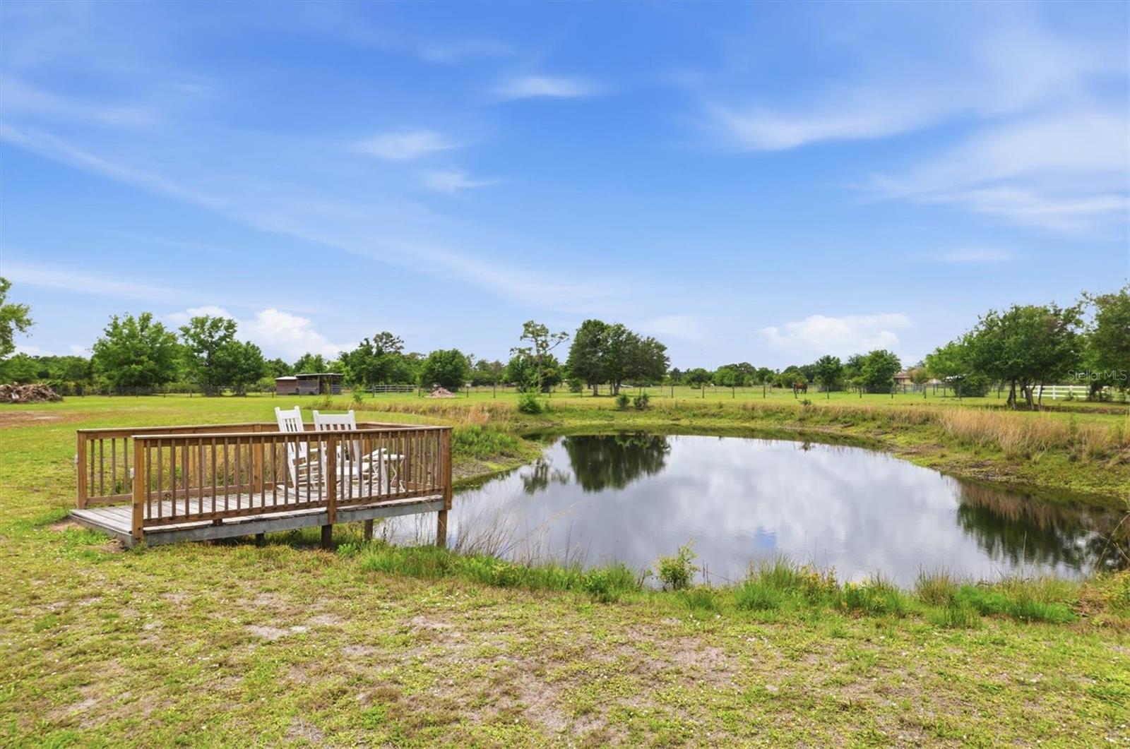 26920 BRANDIFF RD E, MYAKKA CITY, FL, 34251