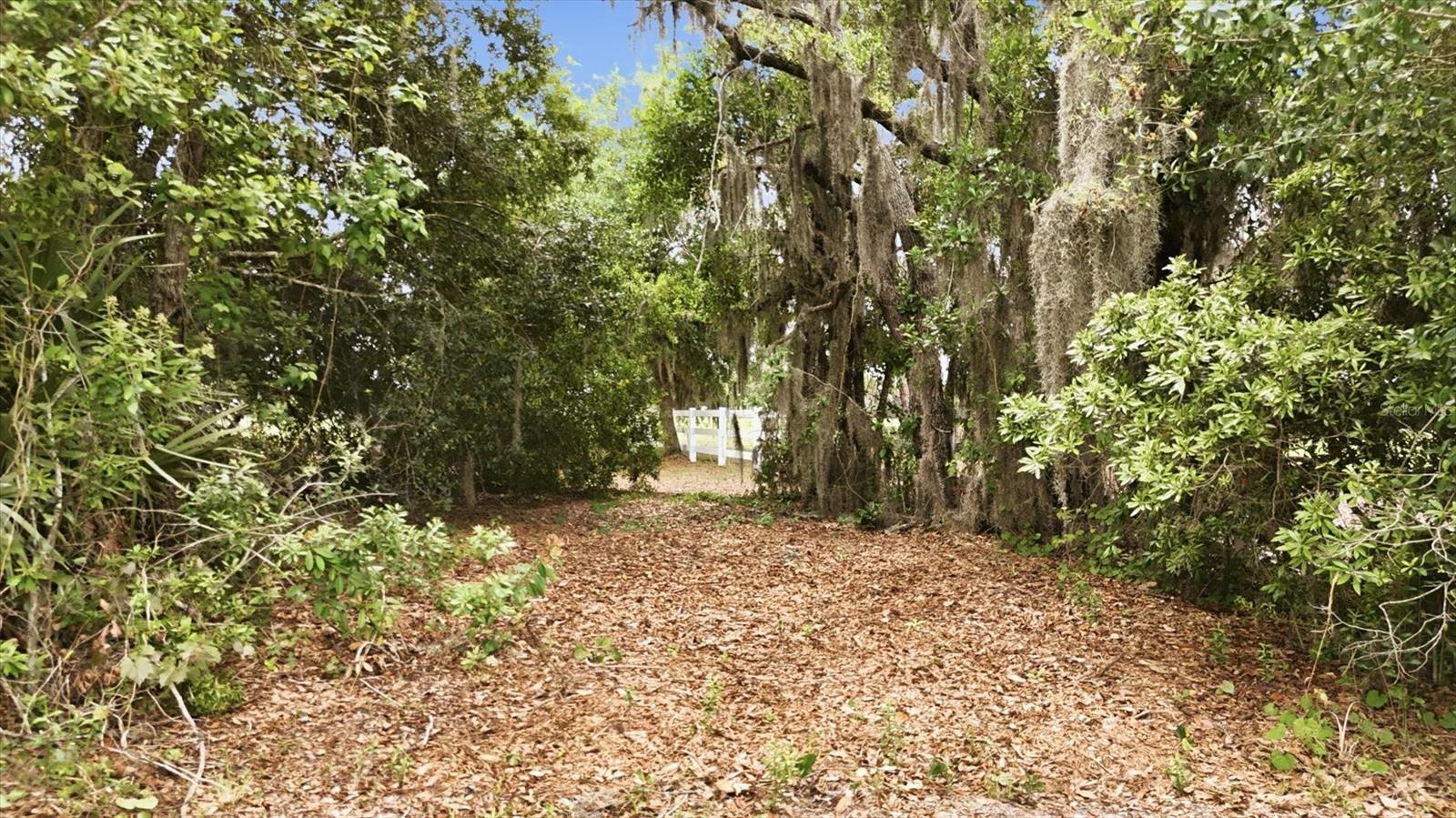26920 BRANDIFF RD E, MYAKKA CITY, FL, 34251