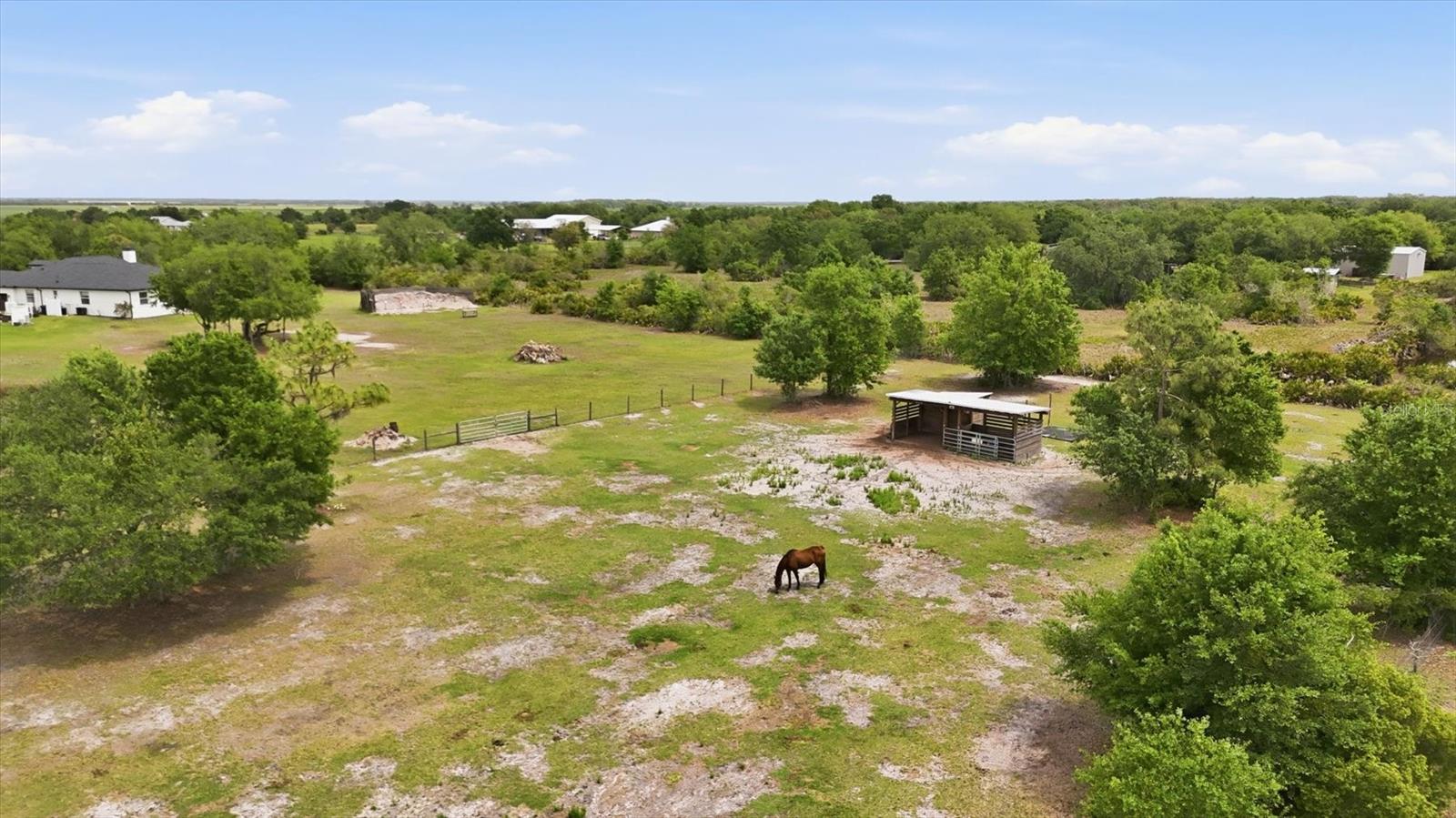 26920 BRANDIFF RD E, MYAKKA CITY, FL, 34251