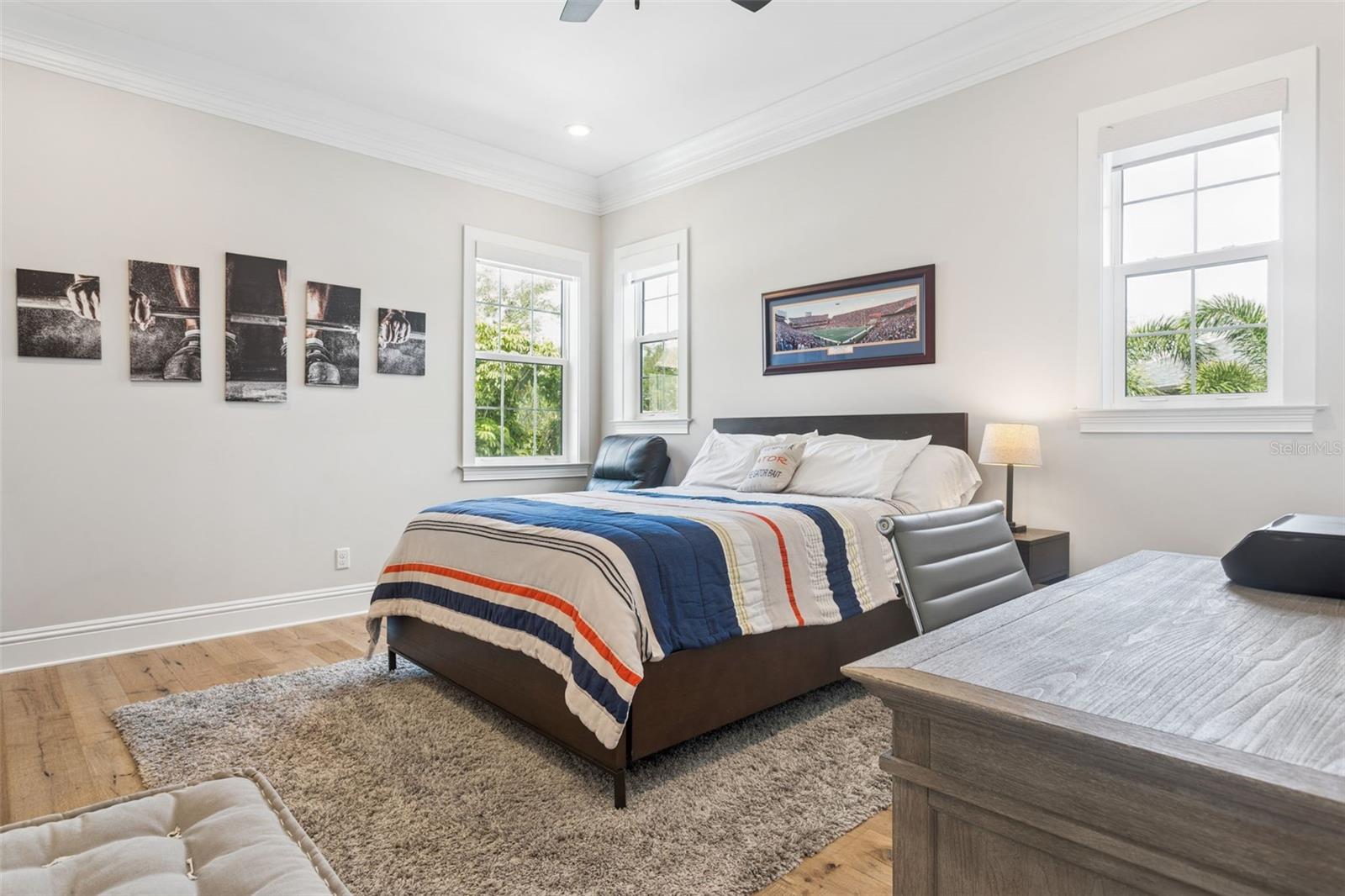 2509 W PALM DR, TAMPA, FL, 33629