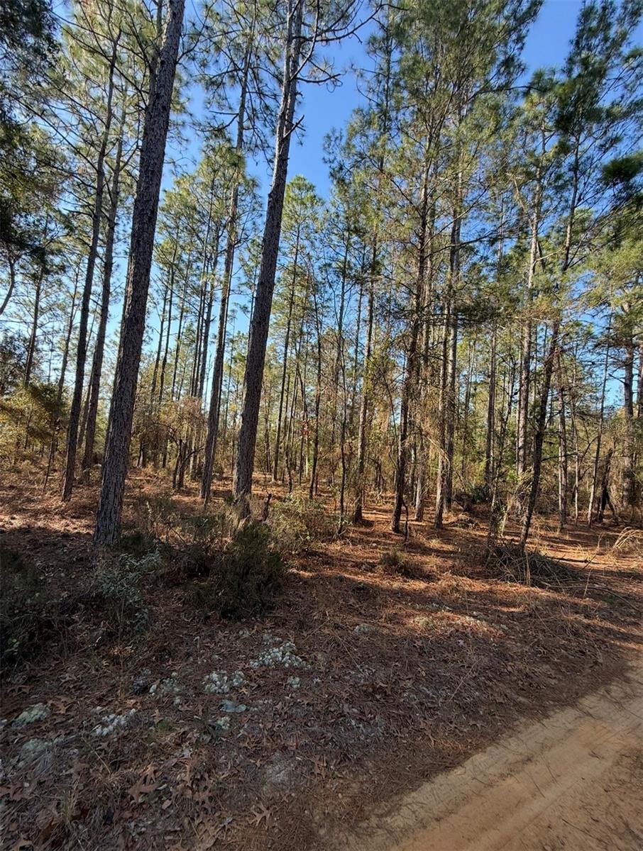 TBT 5TH WAY, INTERLACHEN, FL, 32148