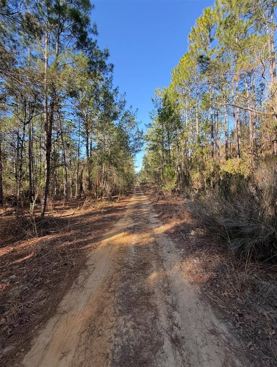 TBT 5TH WAY, INTERLACHEN, FL, 32148