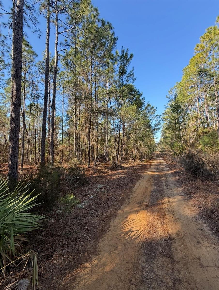 TBT 5TH WAY, INTERLACHEN, FL, 32148