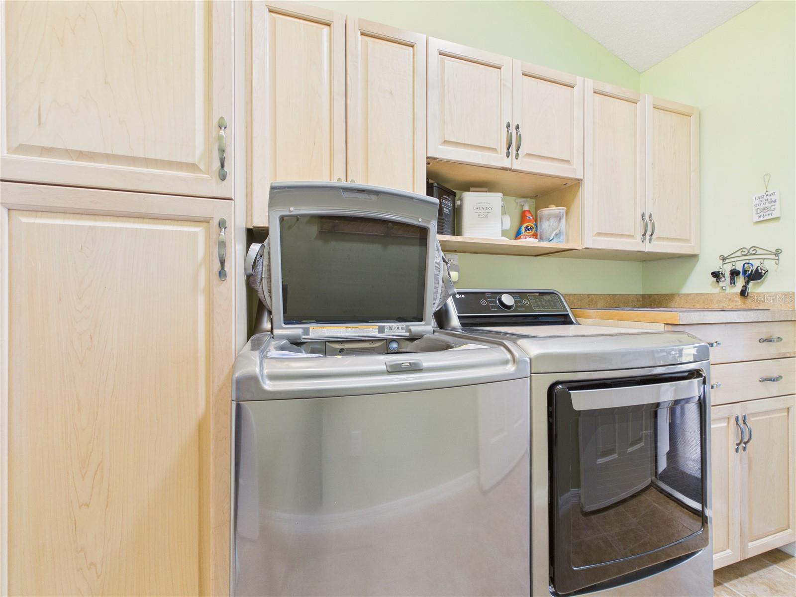 1404 MADRIGAL LANE, THE VILLAGES, FL, 32159