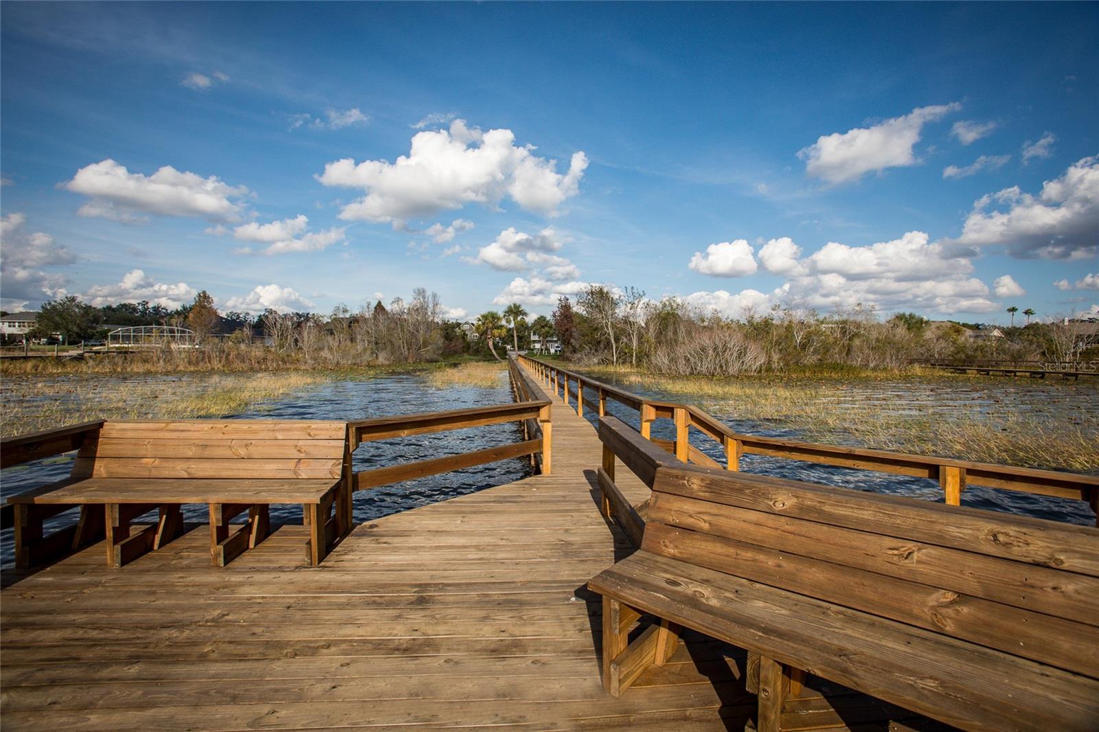 34239 WOODRIDGE LN, EUSTIS, FL, 32736