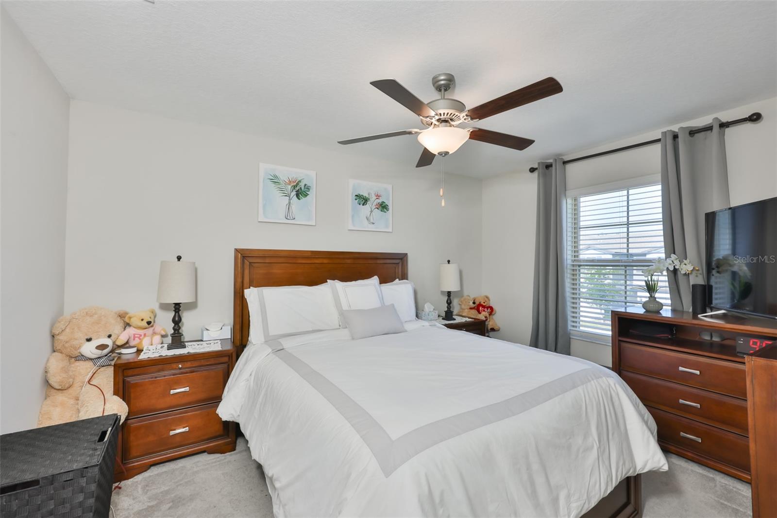 3622 BELLMEAD, WESLEY CHAPEL, FL, 33543