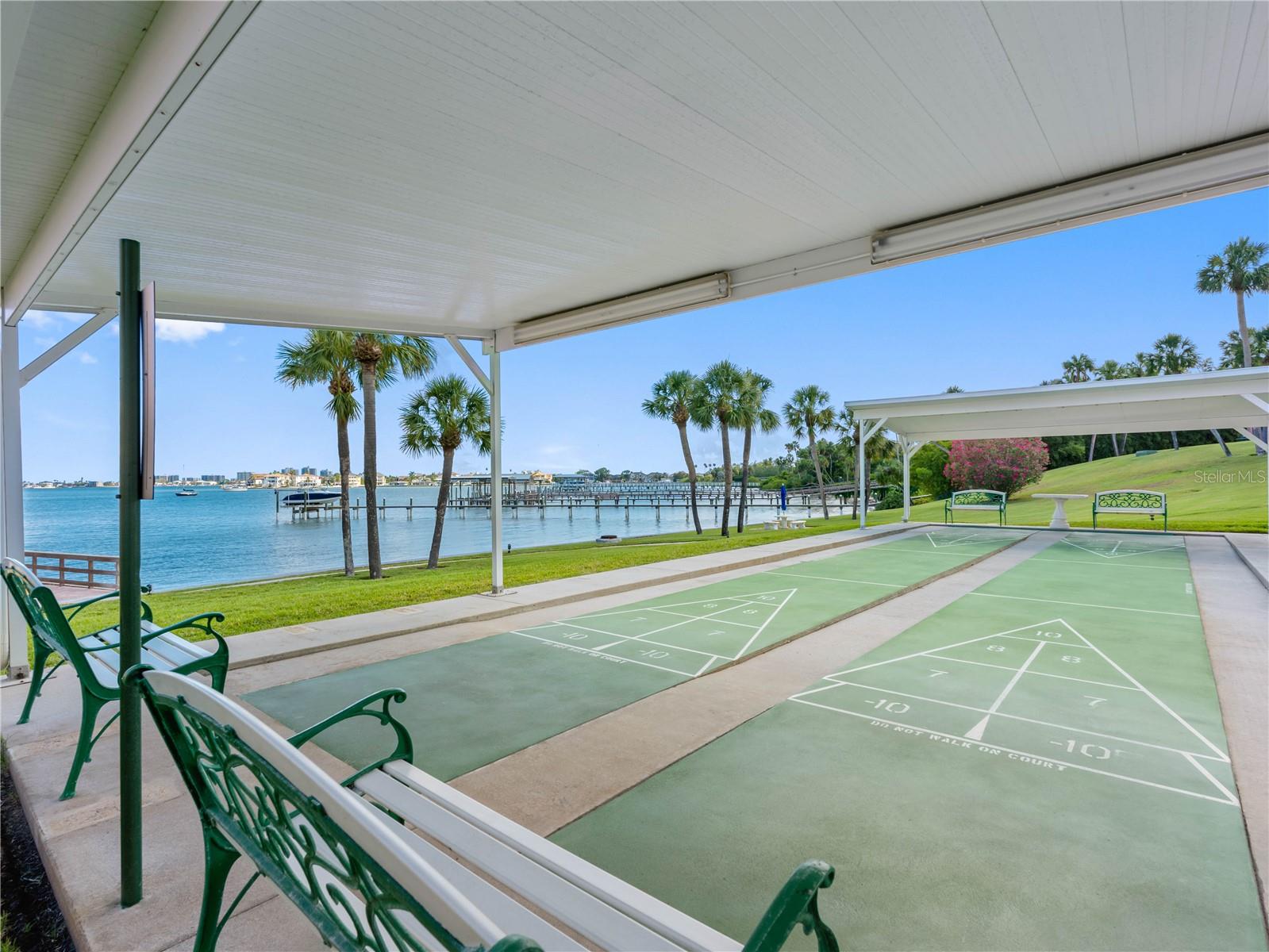 Community Shuffleboard Court
