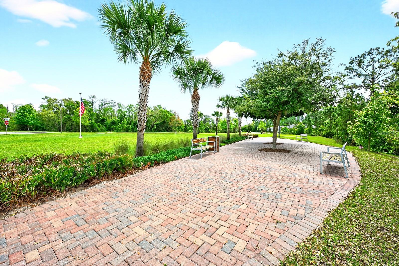 3645 BLUE SAGE LOOP, CLERMONT, FL, 34714