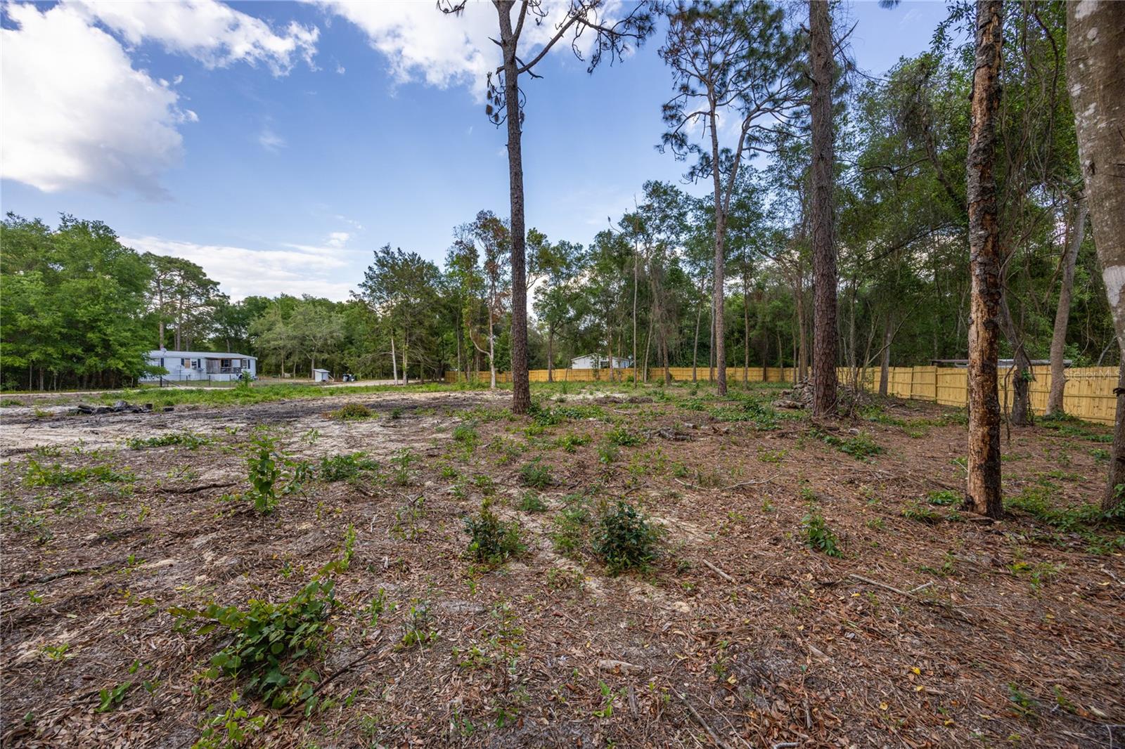 6397 BAYLOR AVE, KEYSTONE HEIGHTS, FL, 32656