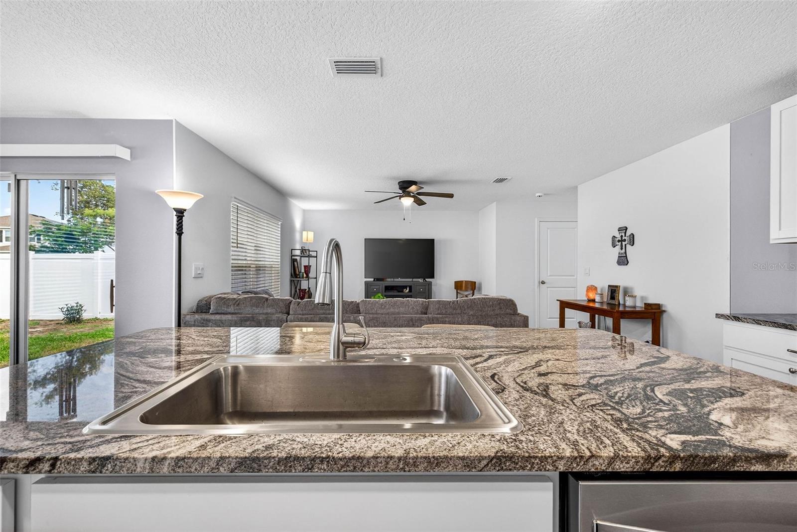 13765 WHISKEY DAISY DR, DADE CITY, FL, 33525