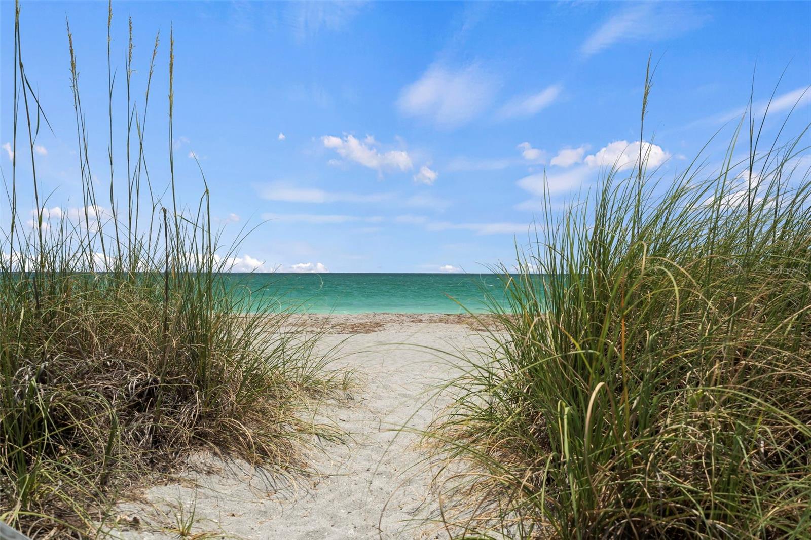 1555 TARPON CENTER DR #G 235, VENICE, FL, 34285