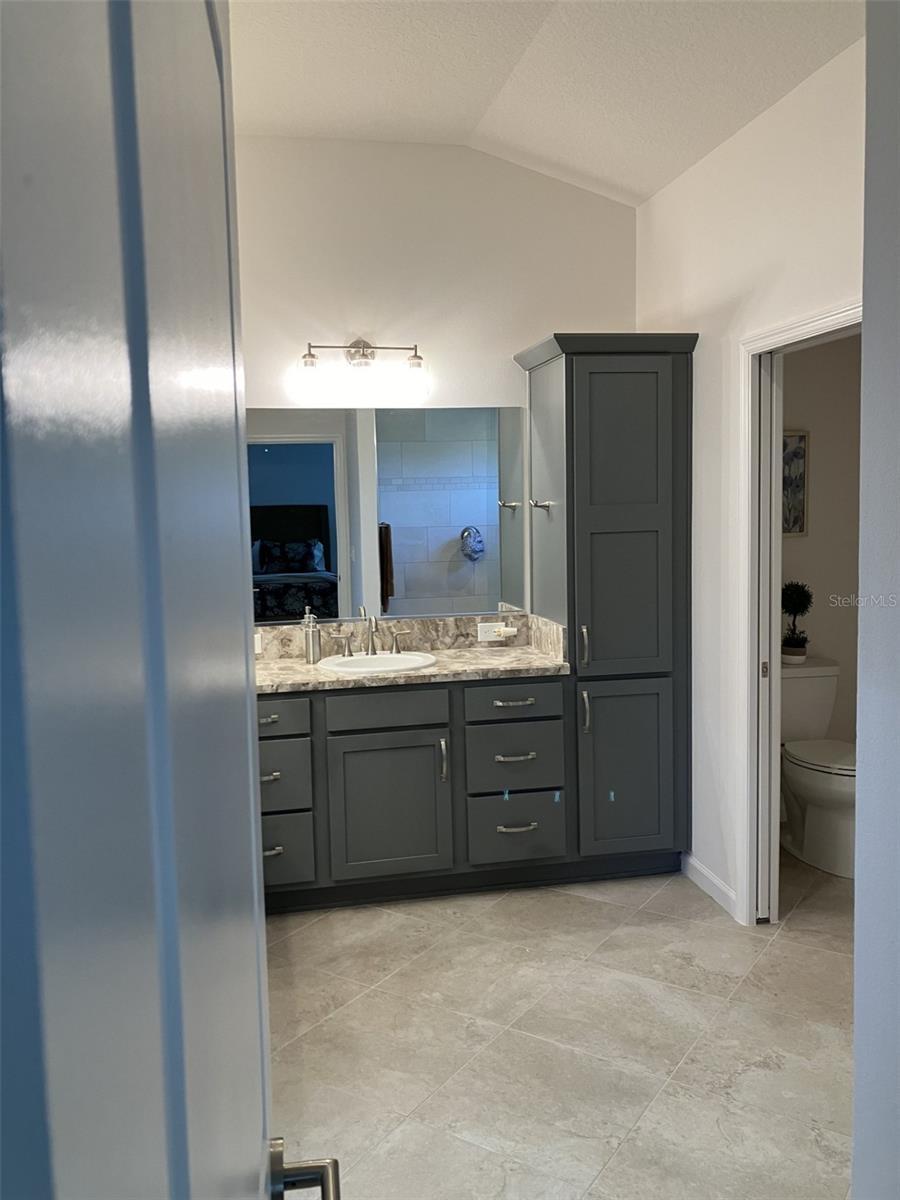 3284 THEODORE TER, THE VILLAGES, FL, 32163