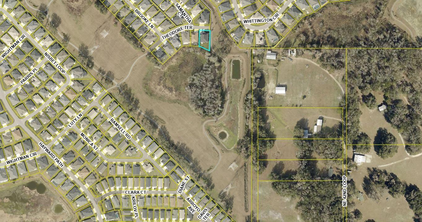 3284 THEODORE TER, THE VILLAGES, FL, 32163