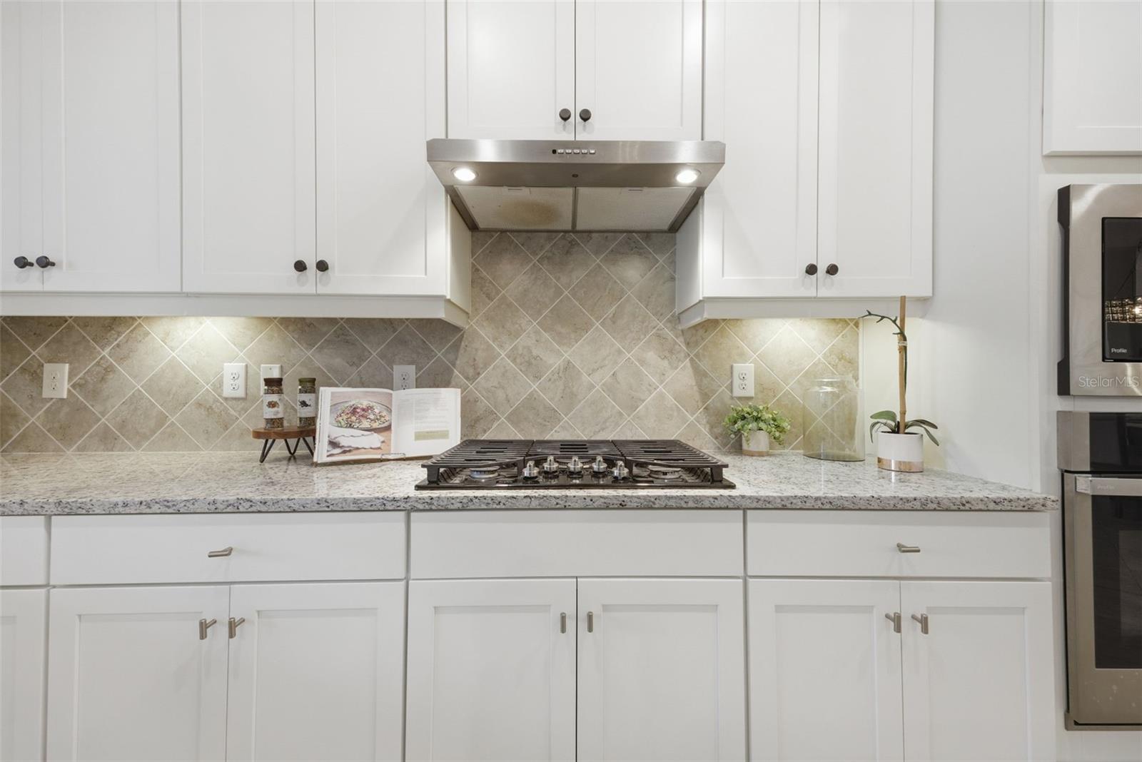 12241 PERENNIAL PL, LAKEWOOD RANCH, FL, 34211