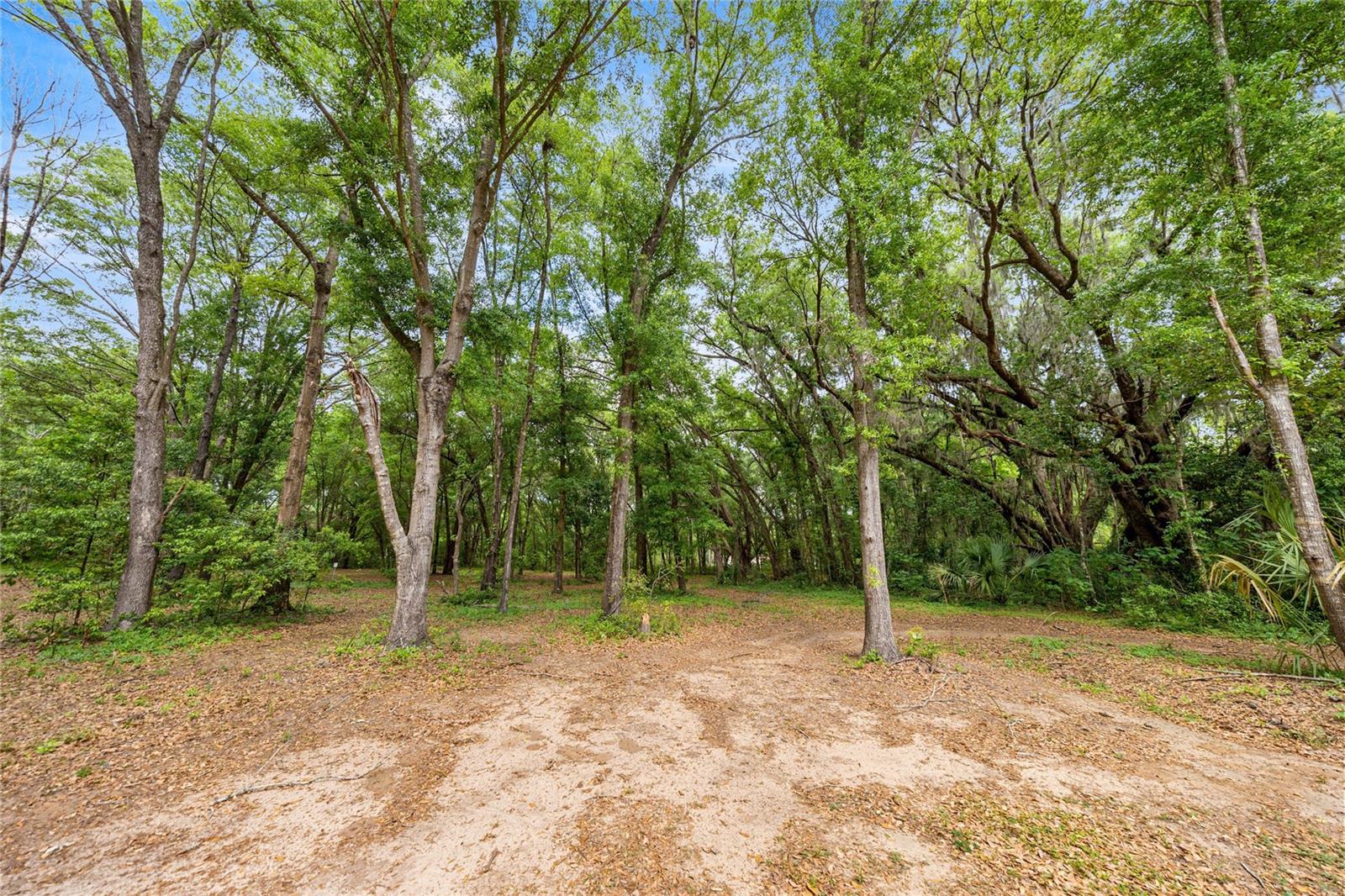 12882 SE 78TH TER, SUMMERFIELD, FL, 34491
