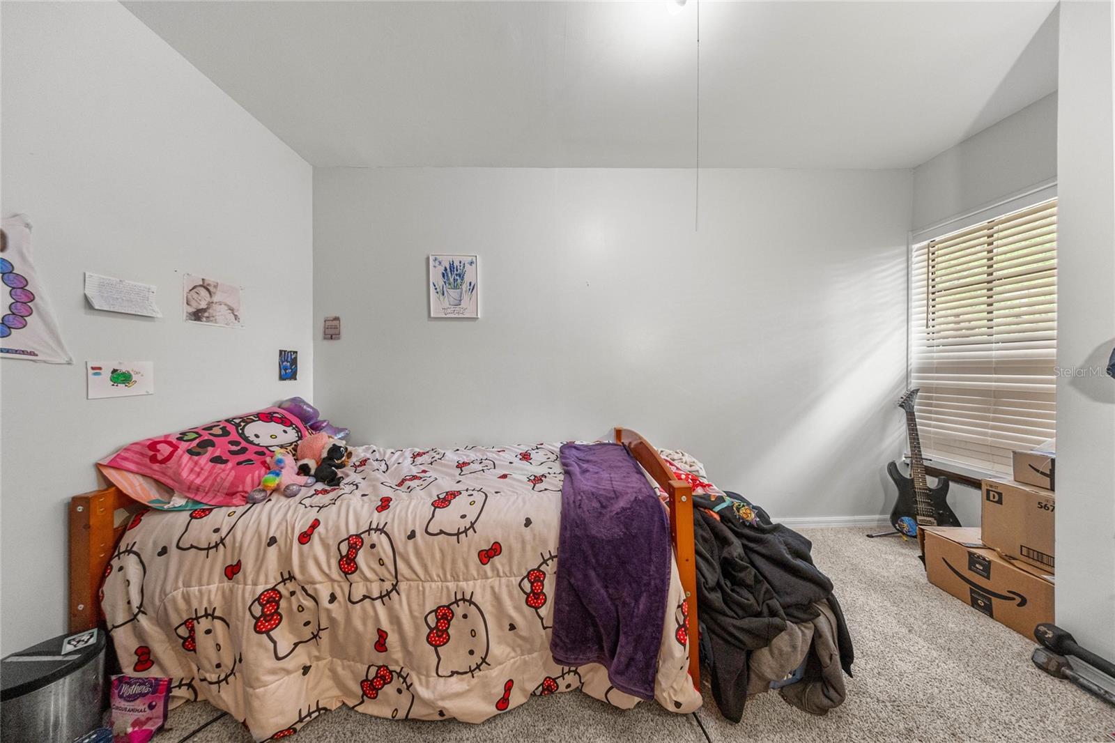 12882 SE 78TH TER, SUMMERFIELD, FL, 34491