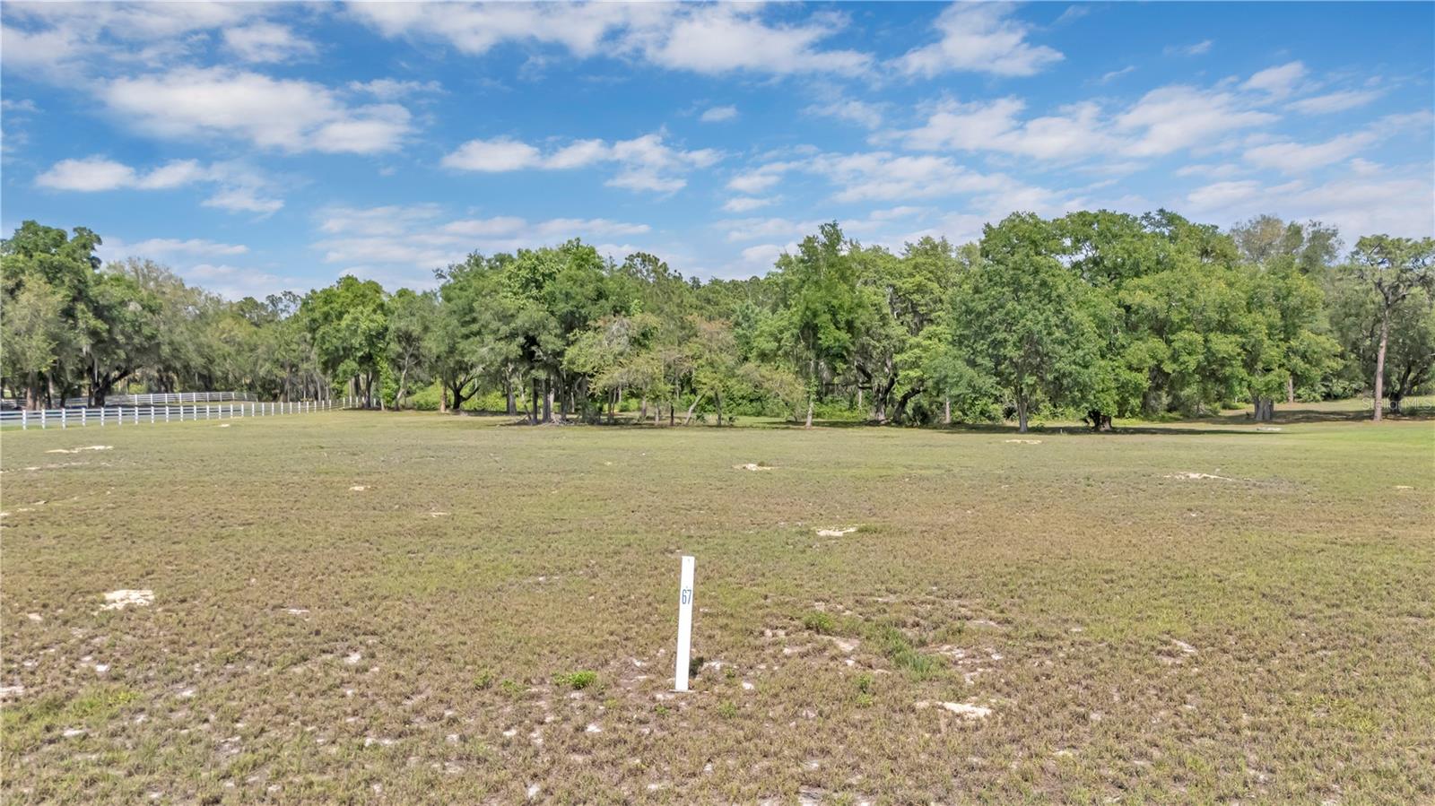 LOT 67, GRAND OAK LN, TAVARES, FL, 32778
