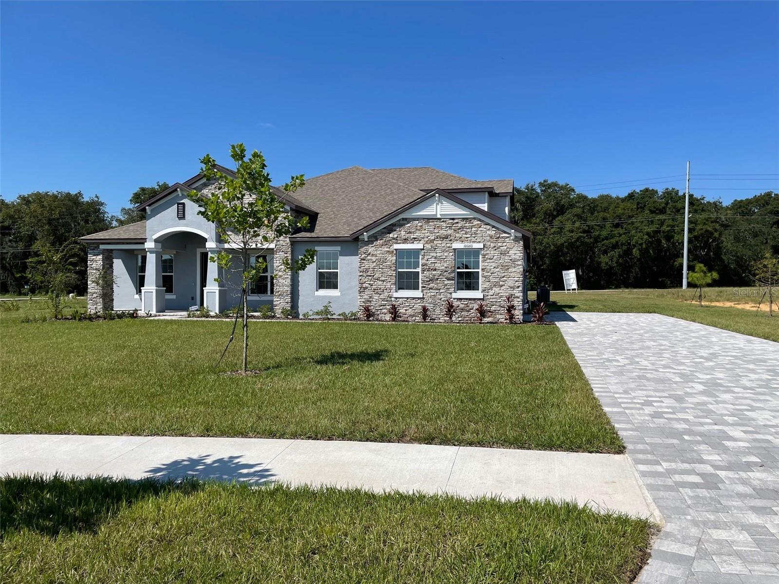 10060 DOLPHIN GULL CIR, THONOTOSASSA, FL, 33592