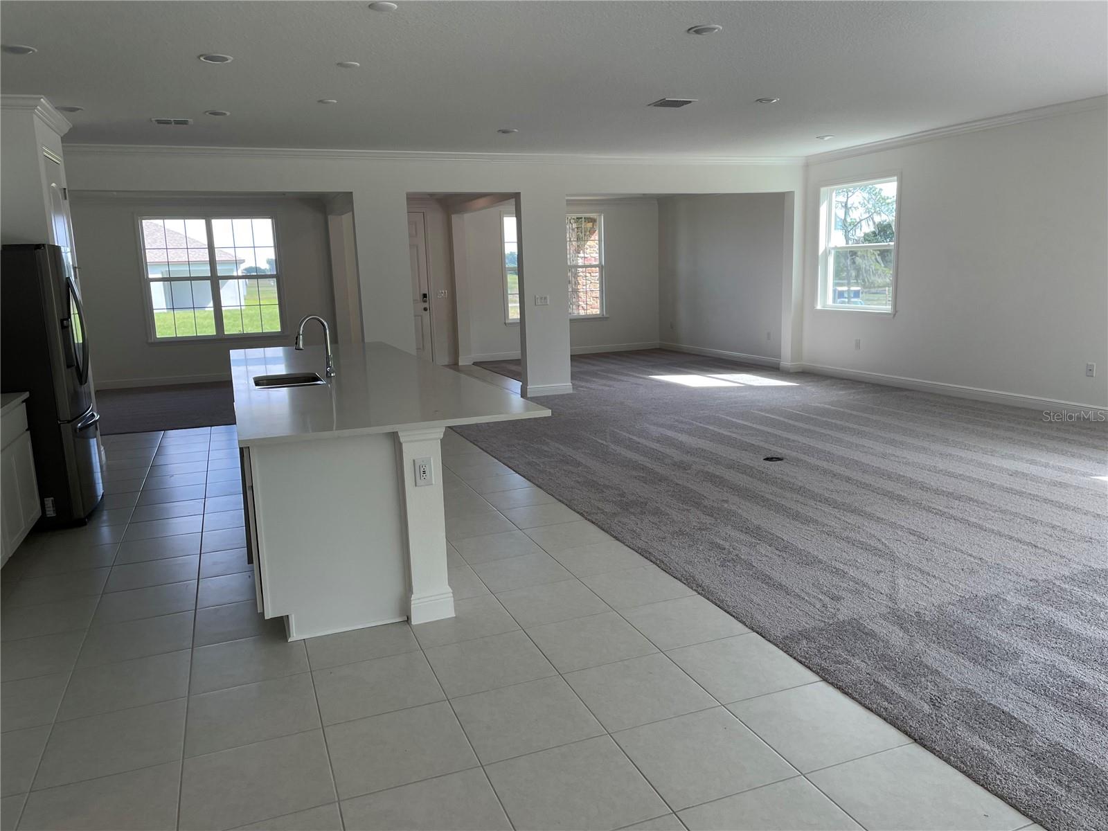 10060 DOLPHIN GULL CIR, THONOTOSASSA, FL, 33592