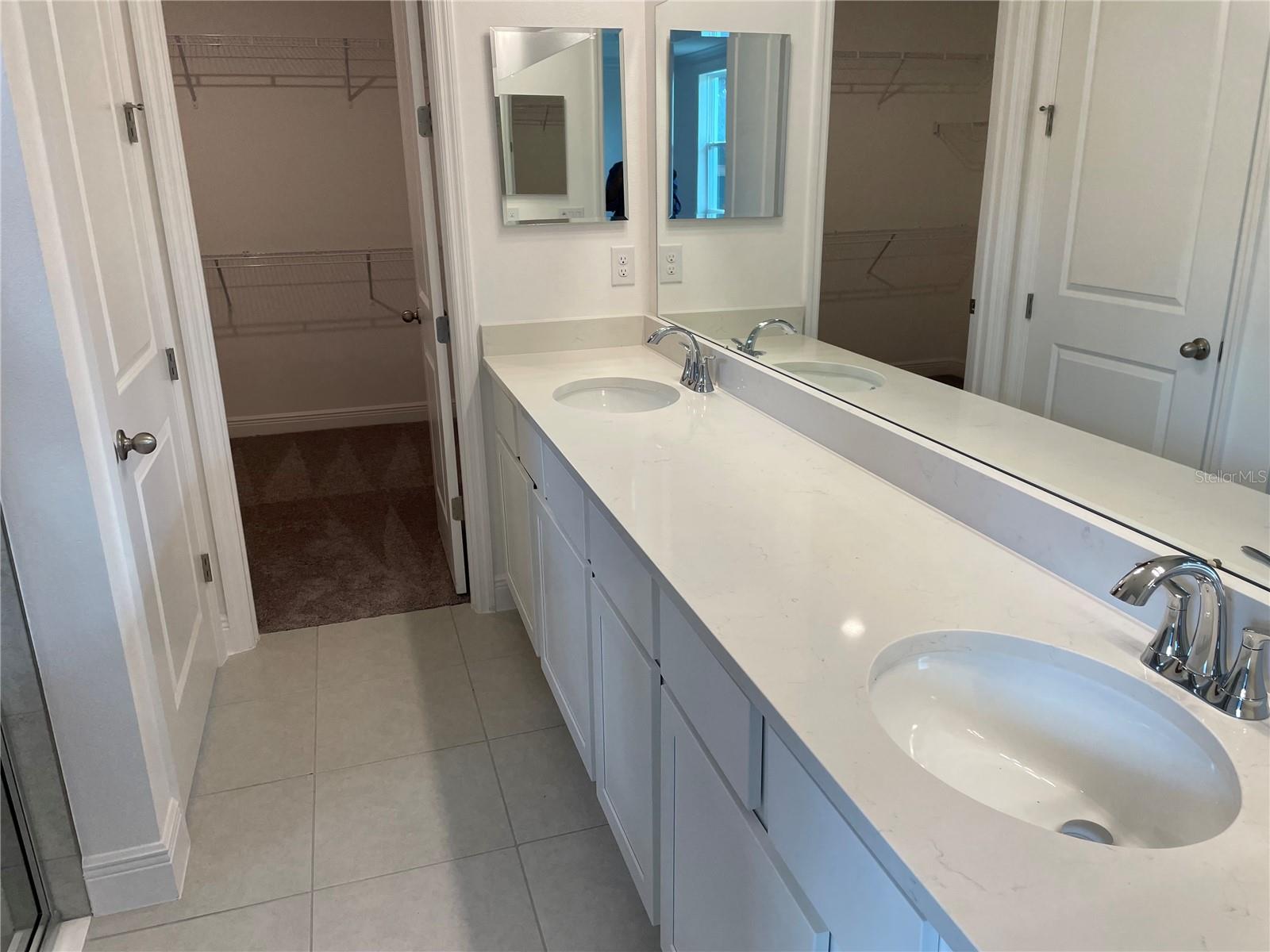 10060 DOLPHIN GULL CIR, THONOTOSASSA, FL, 33592