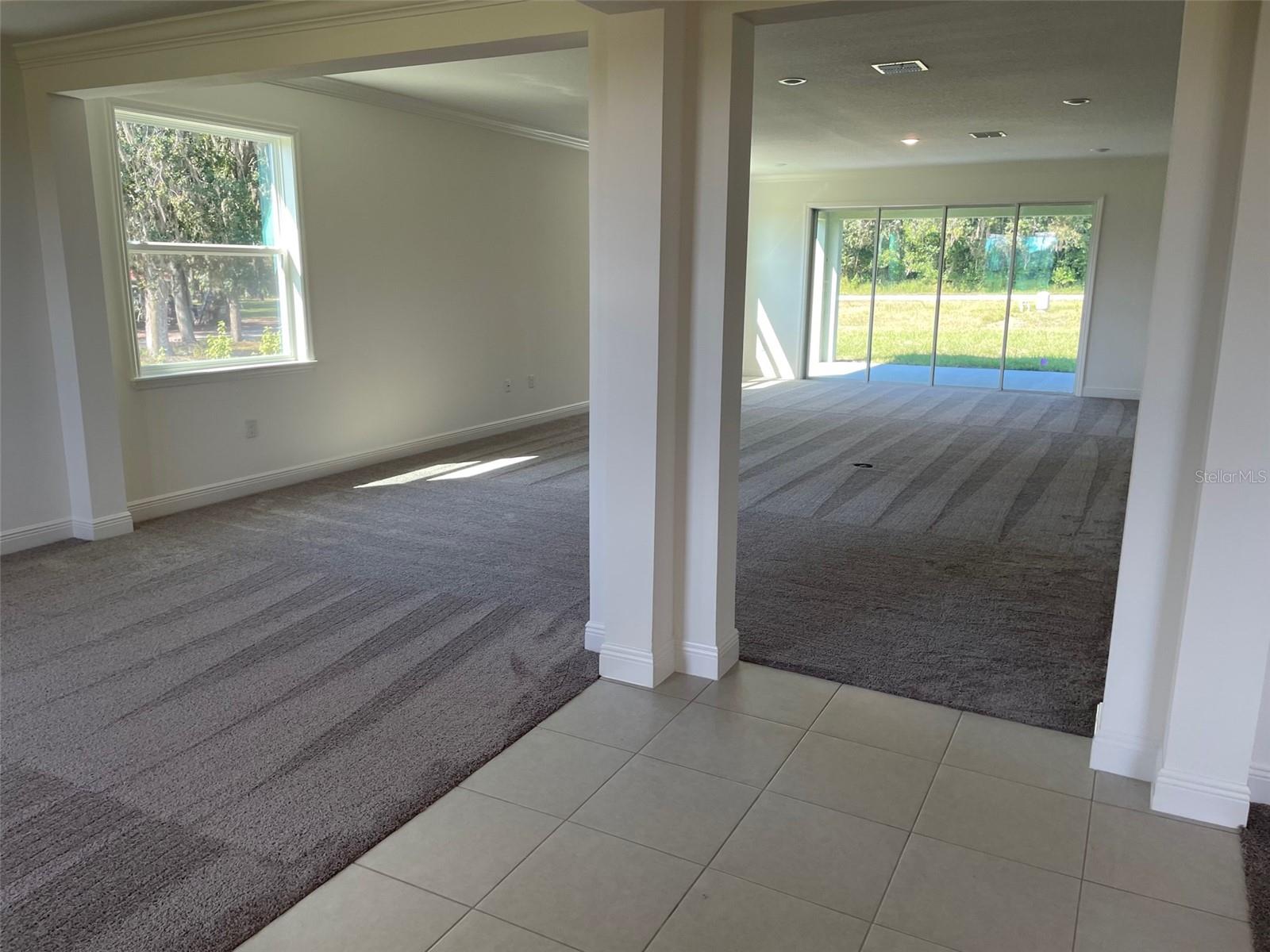 10060 DOLPHIN GULL CIR, THONOTOSASSA, FL, 33592