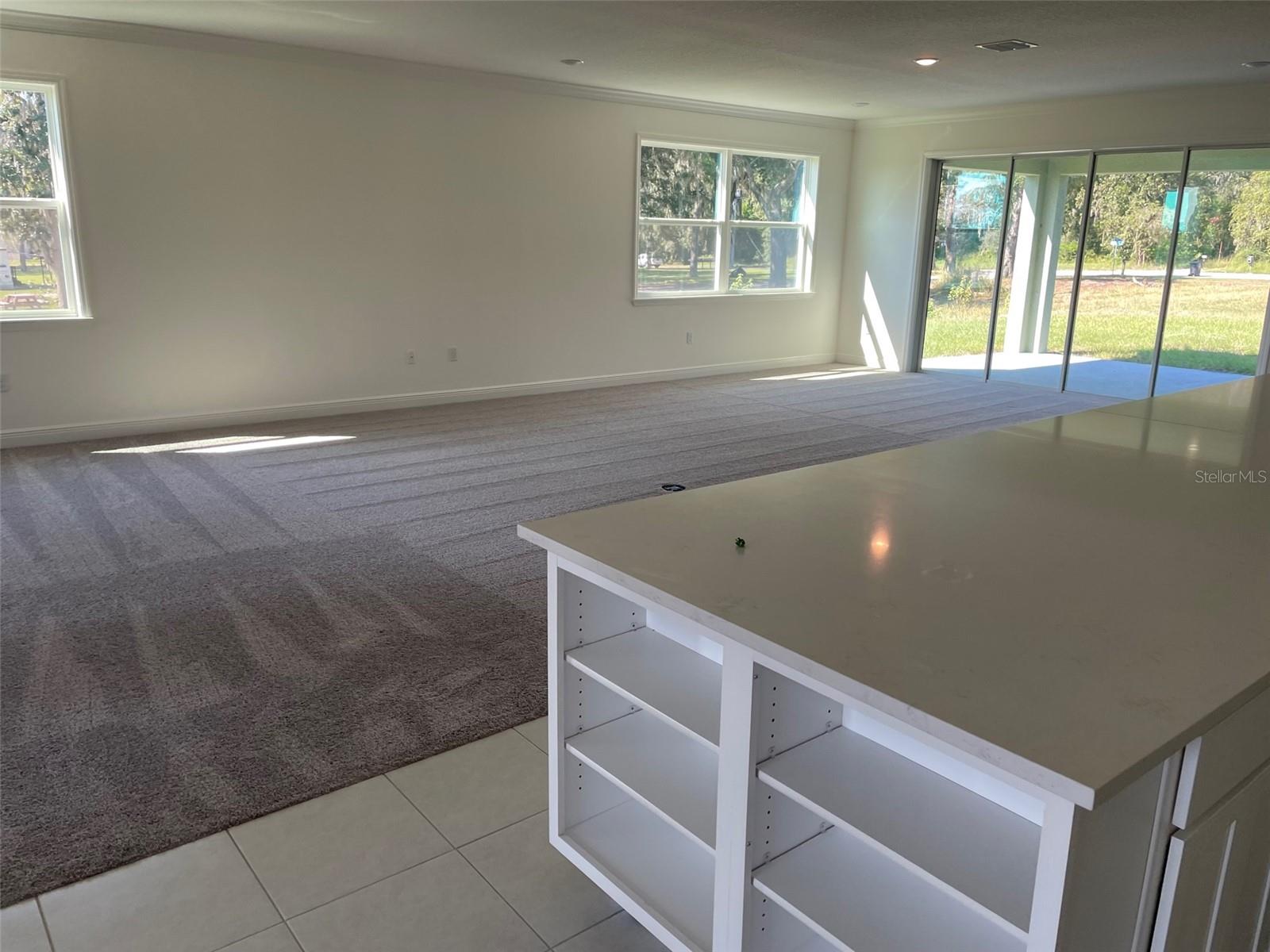 10060 DOLPHIN GULL CIR, THONOTOSASSA, FL, 33592