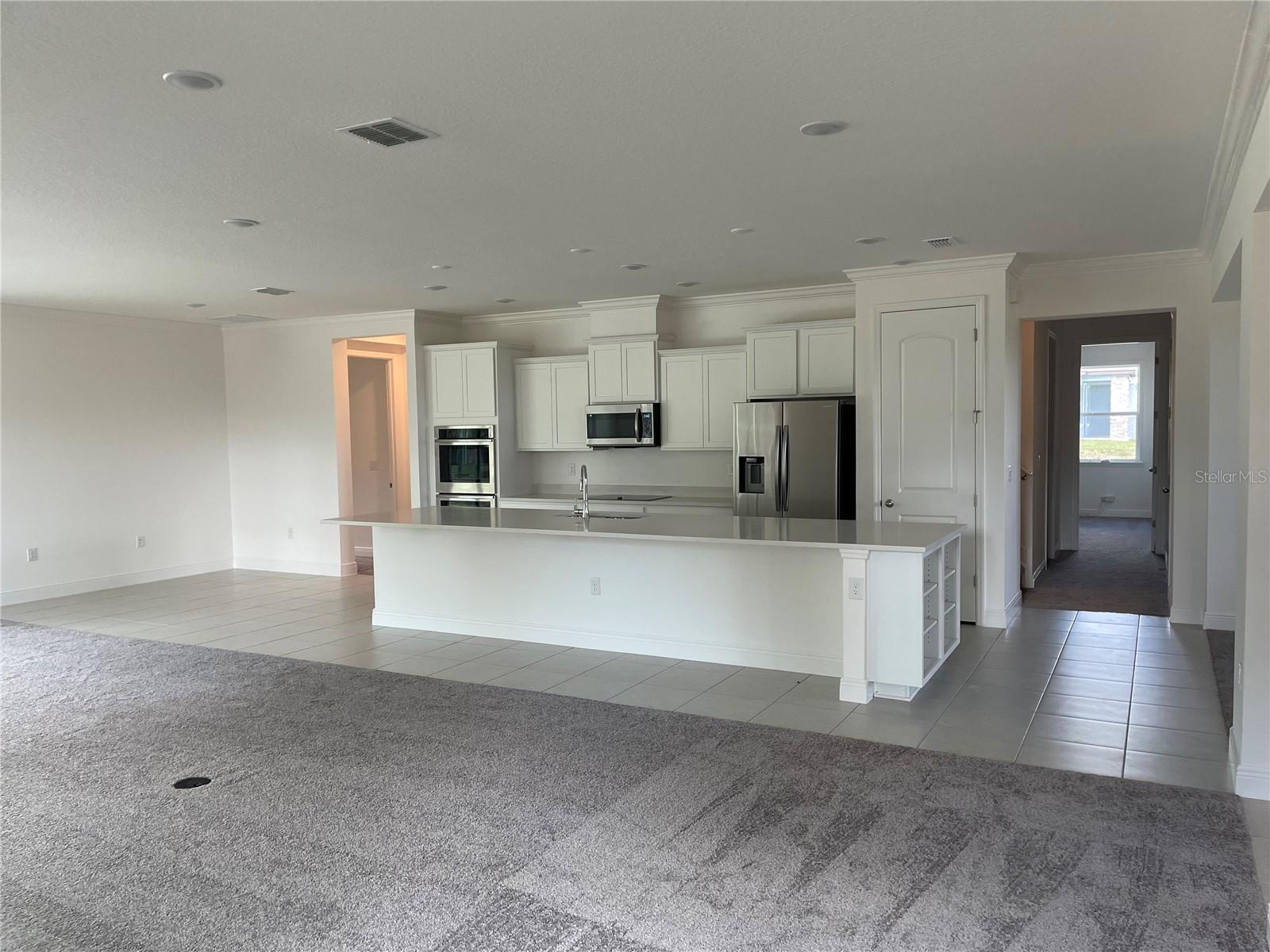 10060 DOLPHIN GULL CIR, THONOTOSASSA, FL, 33592