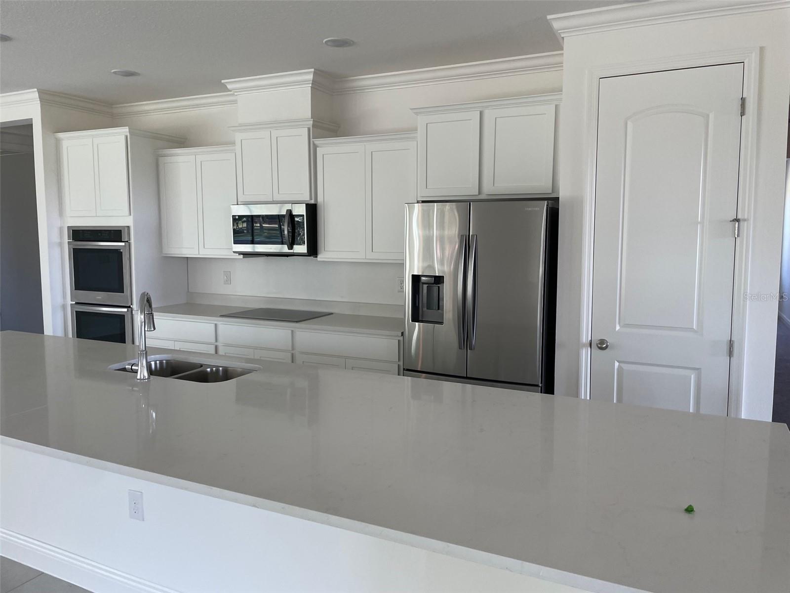10060 DOLPHIN GULL CIR, THONOTOSASSA, FL, 33592