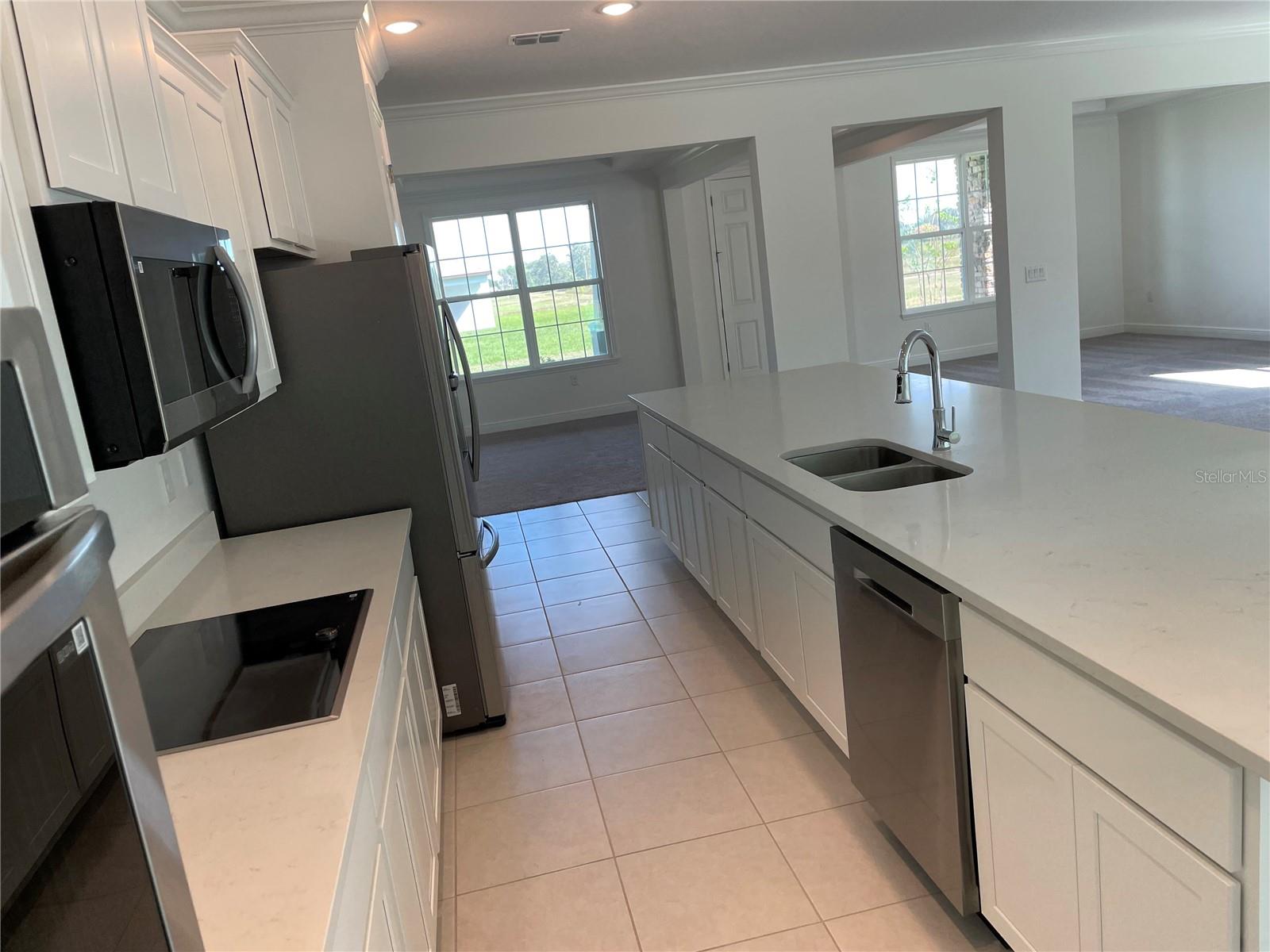 10060 DOLPHIN GULL CIR, THONOTOSASSA, FL, 33592