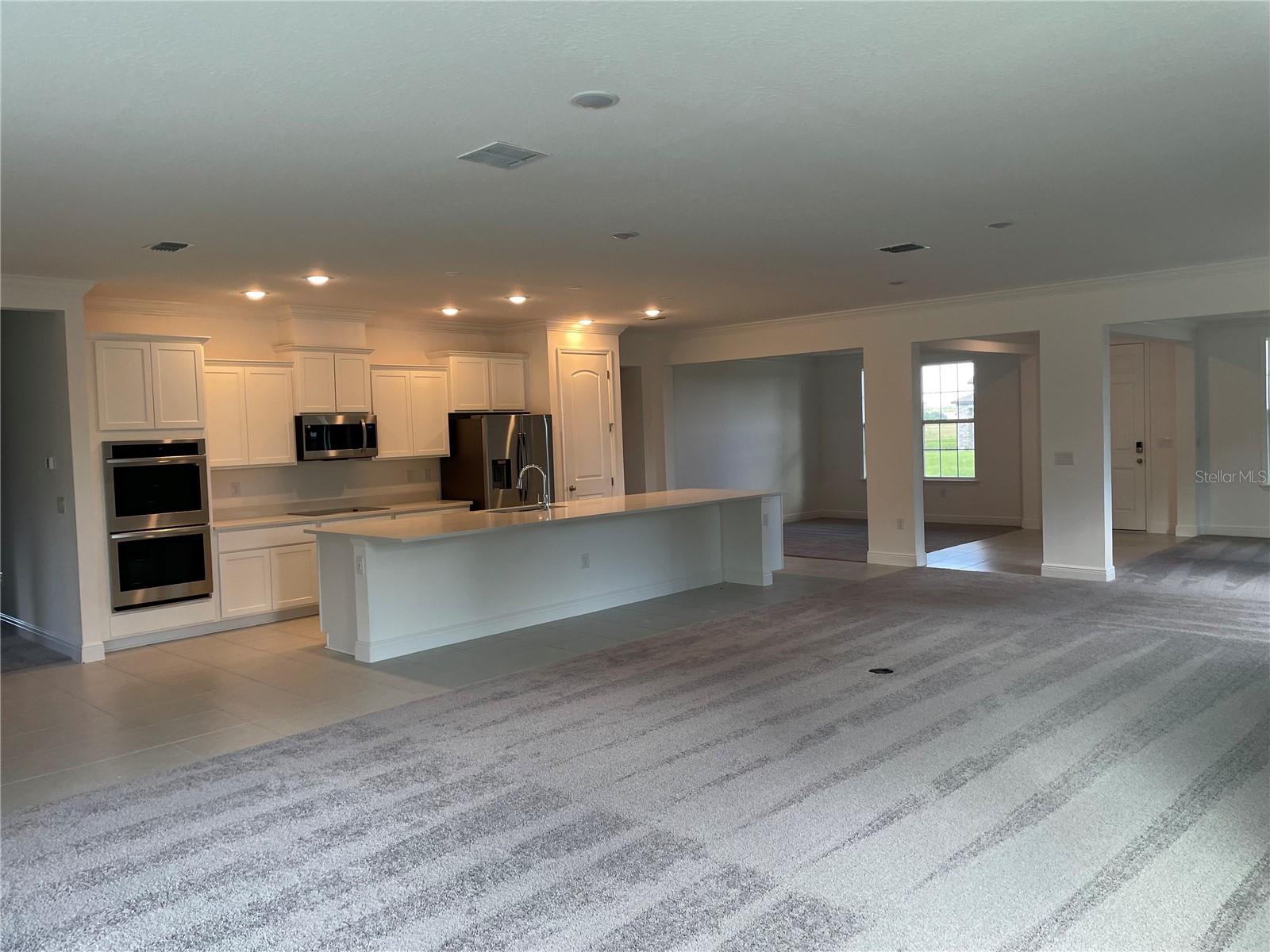 10060 DOLPHIN GULL CIR, THONOTOSASSA, FL, 33592