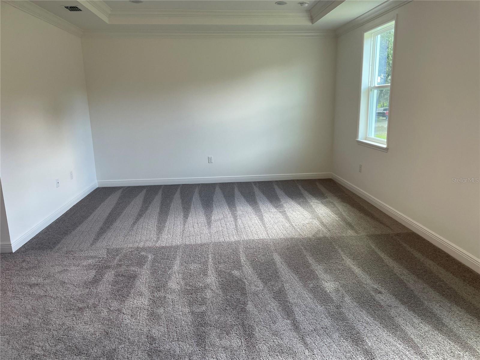 10060 DOLPHIN GULL CIR, THONOTOSASSA, FL, 33592