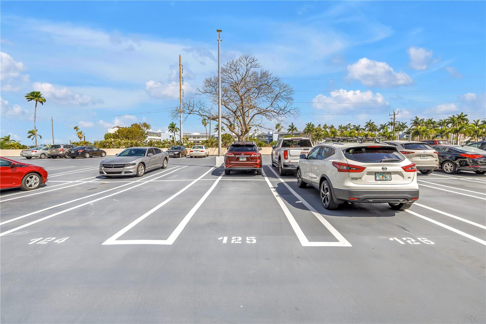 5220 BRITTANY DR S #1204, ST PETERSBURG, FL, 33715