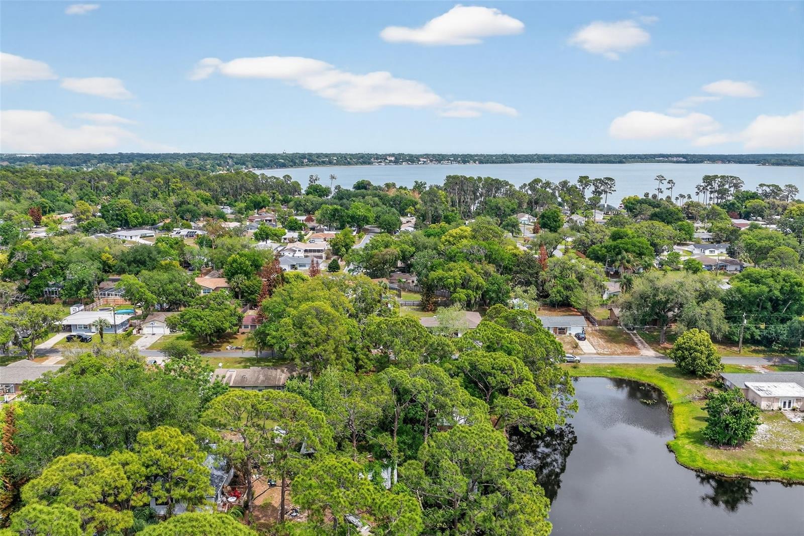 601 VINCENT DR, MOUNT DORA, FL, 32757