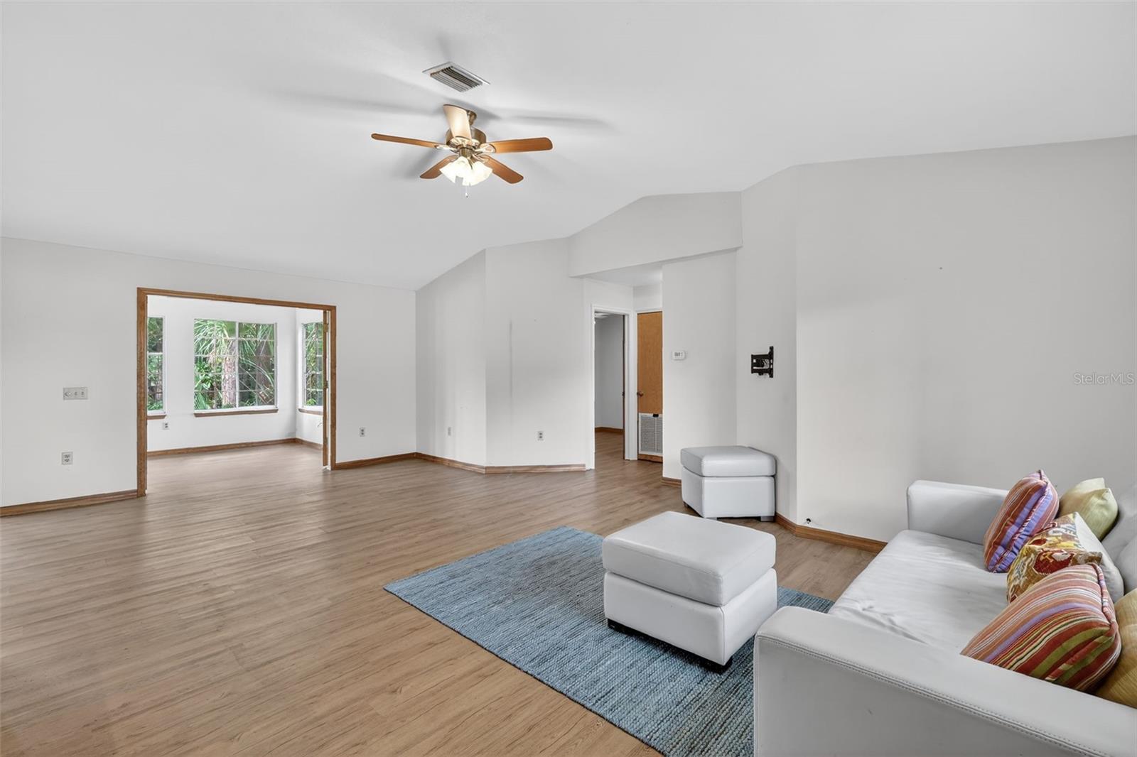 601 VINCENT DR, MOUNT DORA, FL, 32757