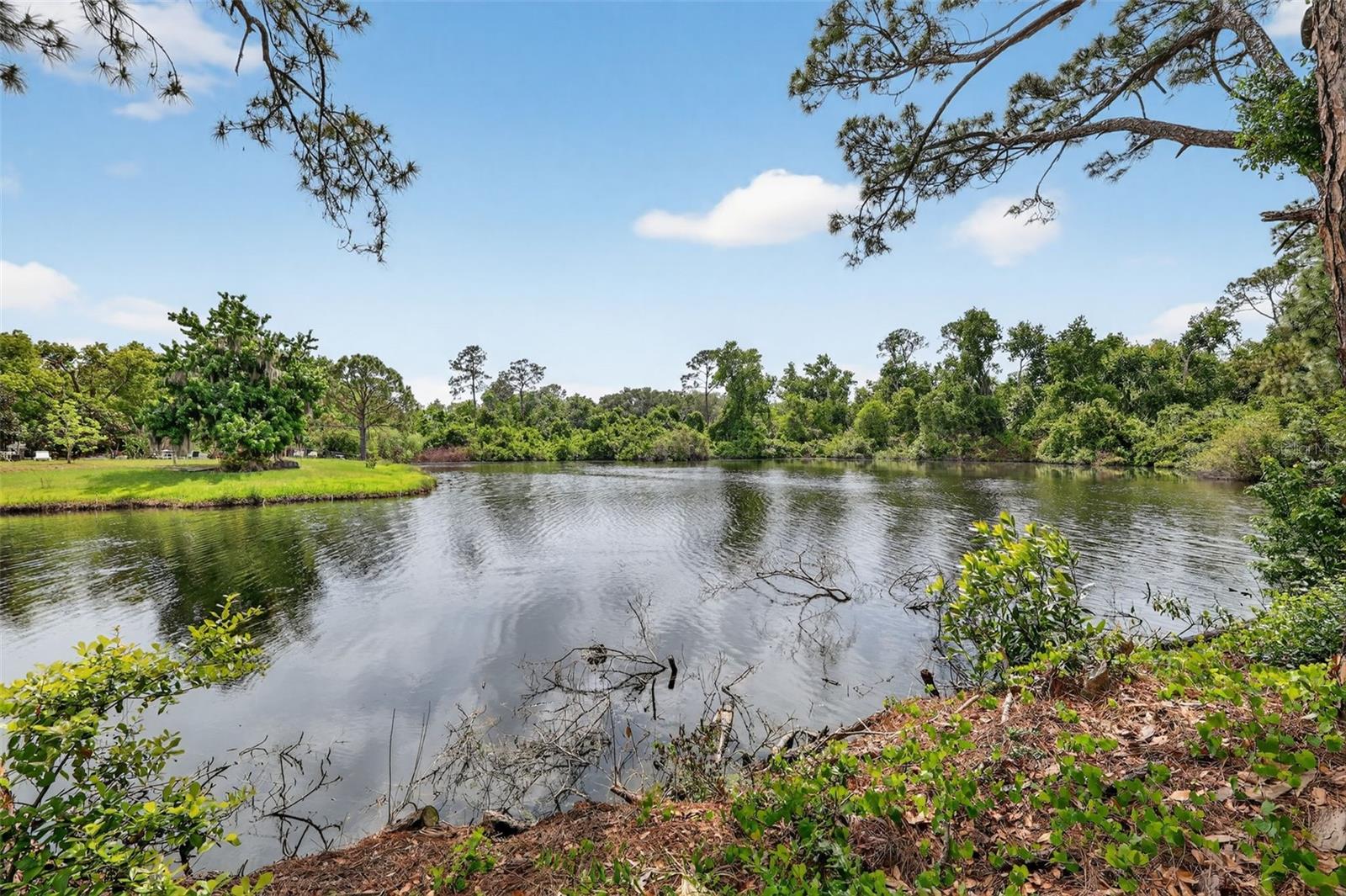 601 VINCENT DR, MOUNT DORA, FL, 32757