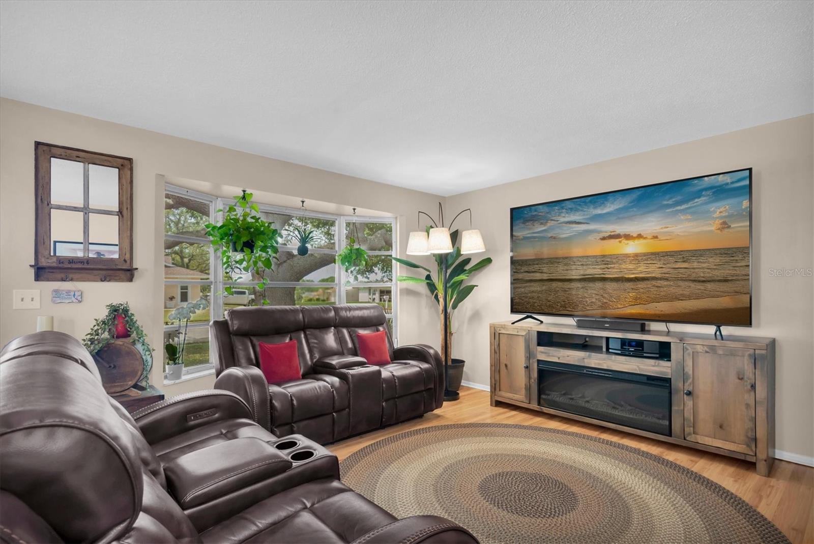 Front living room nice size!