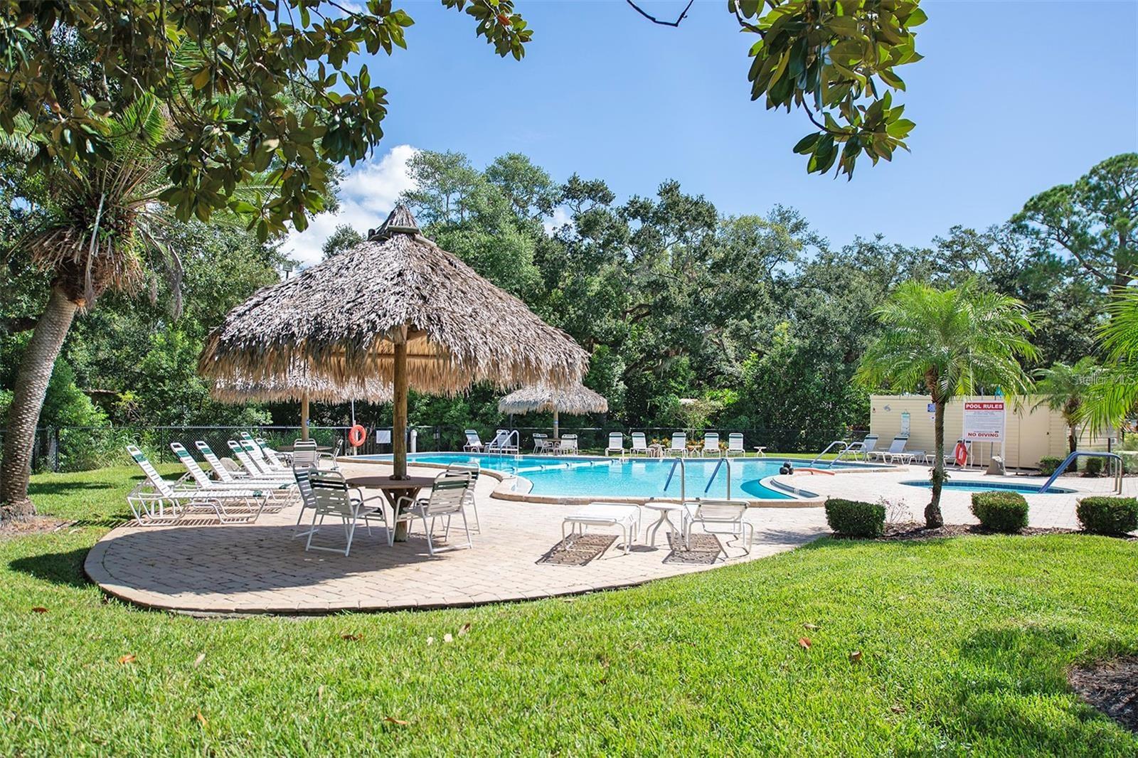 89 CYPRESS DR #5, SAFETY HARBOR, FL, 34695