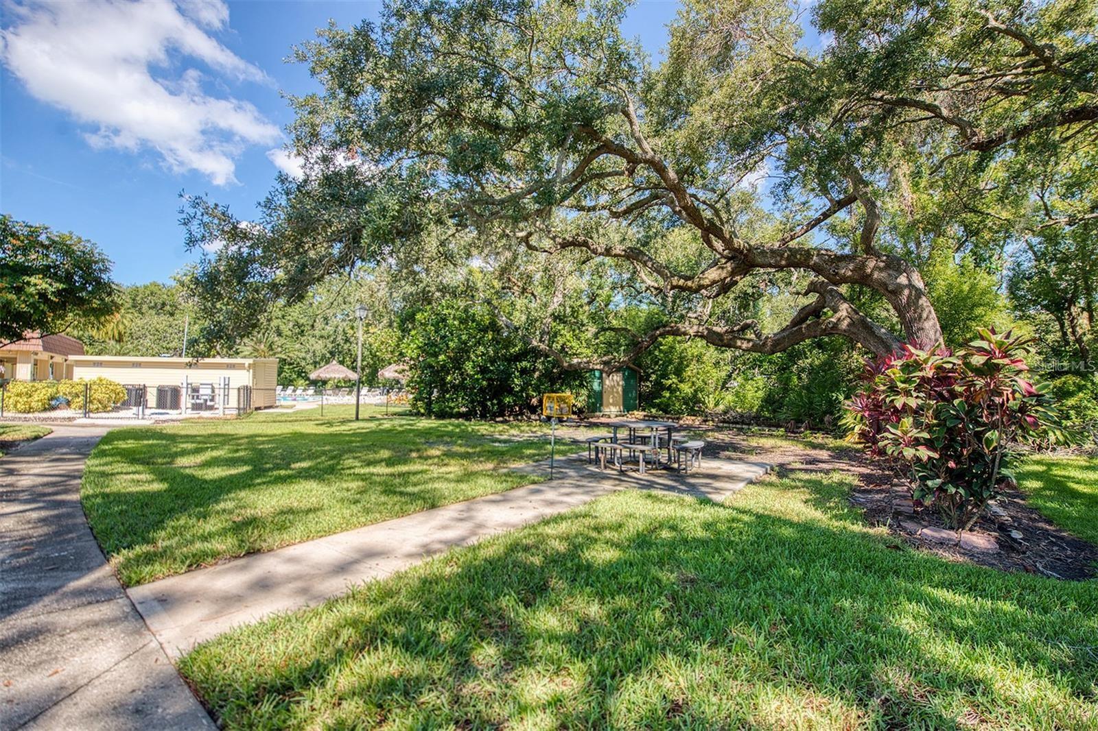 89 CYPRESS DR #5, SAFETY HARBOR, FL, 34695