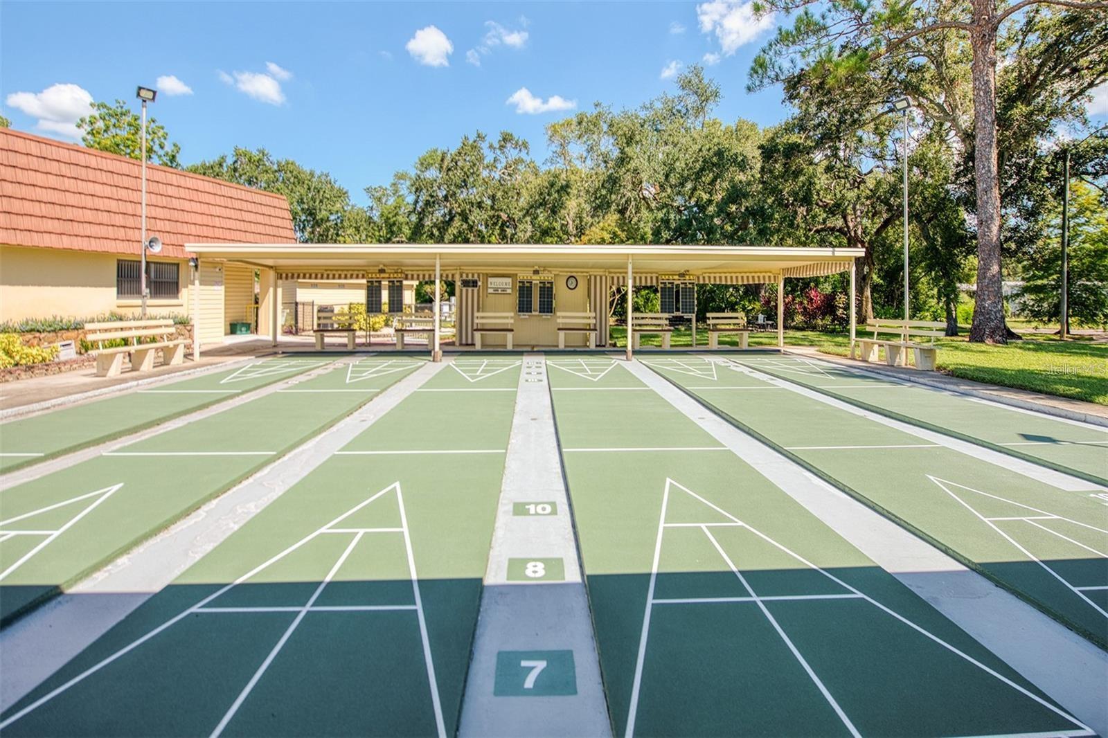 89 CYPRESS DR #5, SAFETY HARBOR, FL, 34695