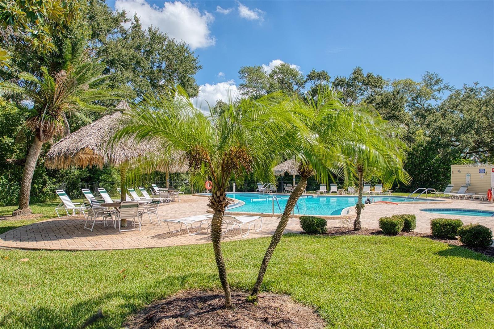 89 CYPRESS DR #5, SAFETY HARBOR, FL, 34695
