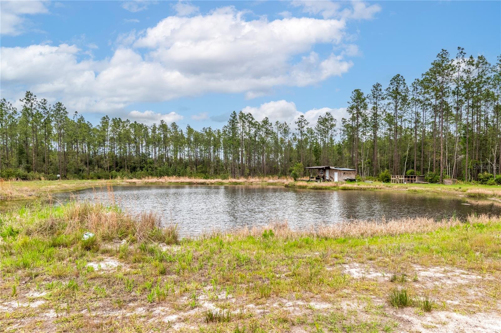 12655 NE 215TH ST, FORT MC COY, FL, 32134
