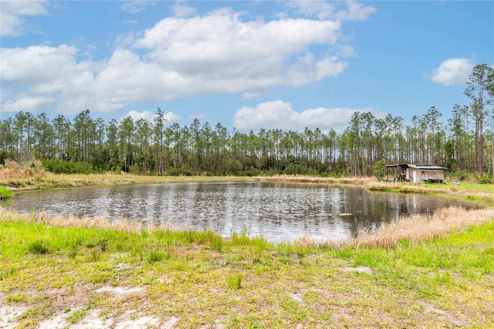 12655 NE 215TH ST, FORT MC COY, FL, 32134