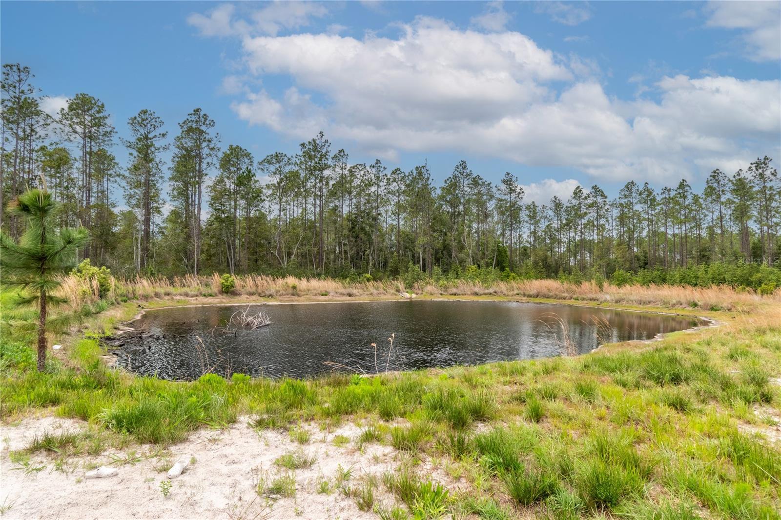 12655 NE 215TH ST, FORT MC COY, FL, 32134
