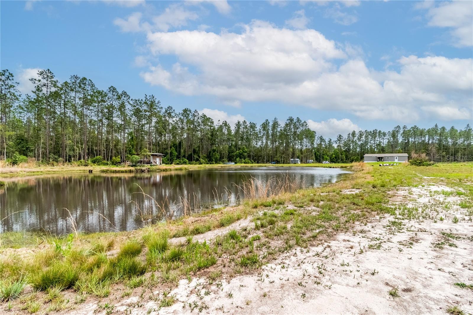 12655 NE 215TH ST, FORT MC COY, FL, 32134