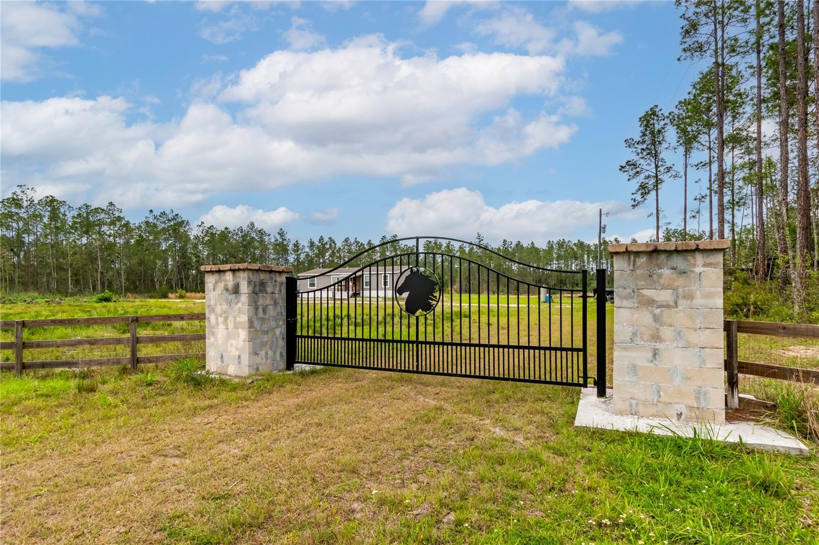 12655 NE 215TH ST, FORT MC COY, FL, 32134