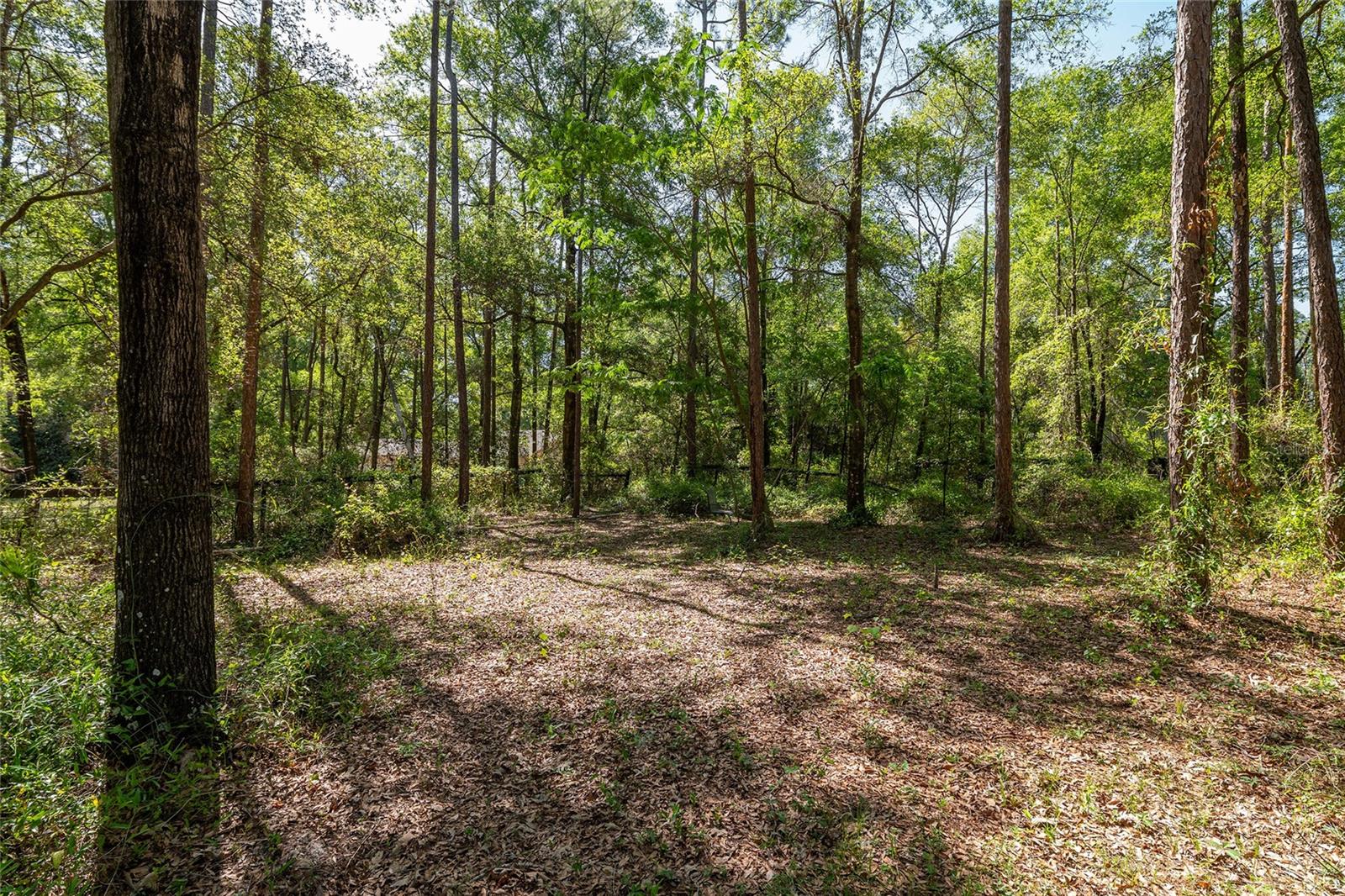 9917 SW 77TH CT, GAINESVILLE, FL, 32608